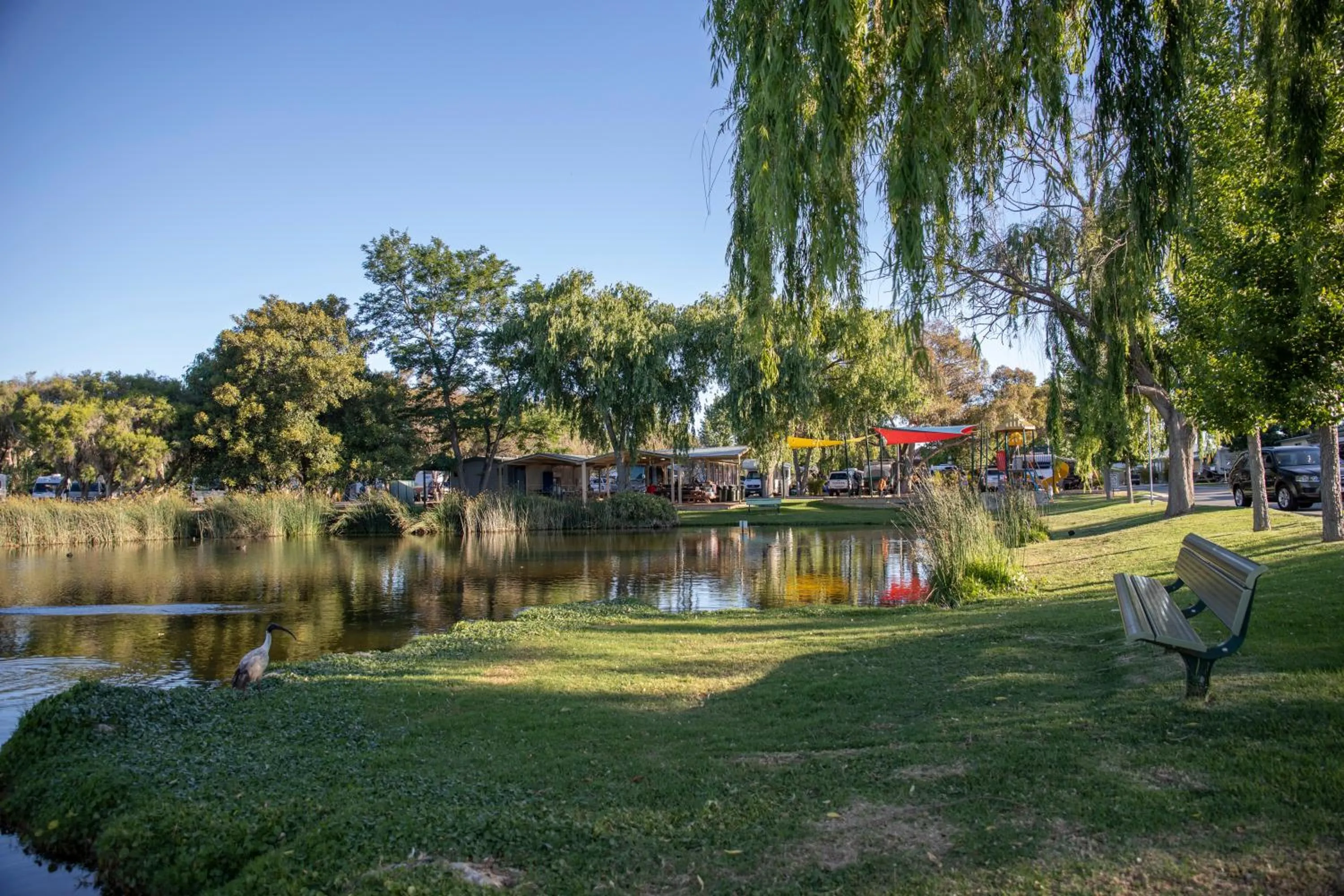Lake view in Karrinyup Waters Resort