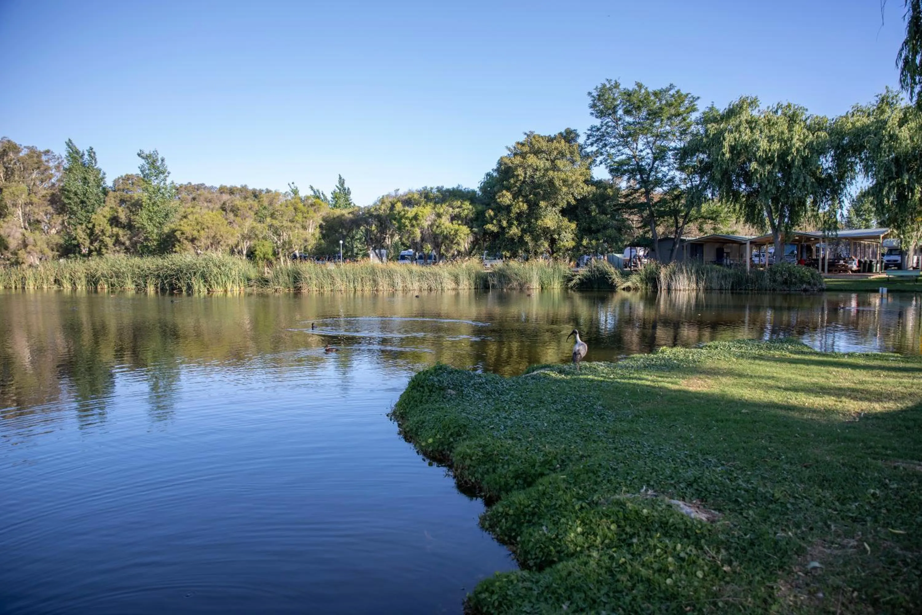 Garden in Karrinyup Waters Resort