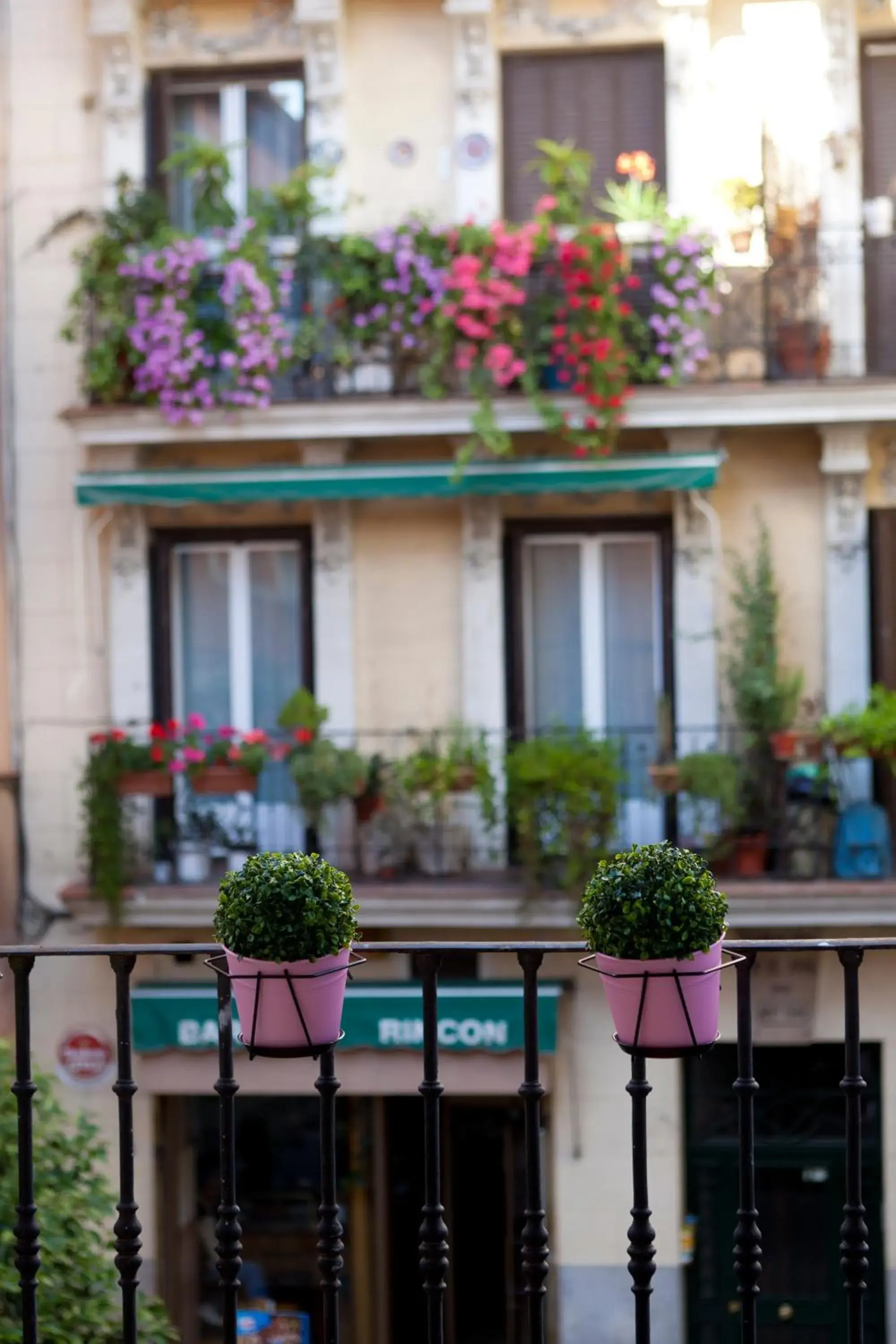 THC Latina Hostel THC Latina Hostel