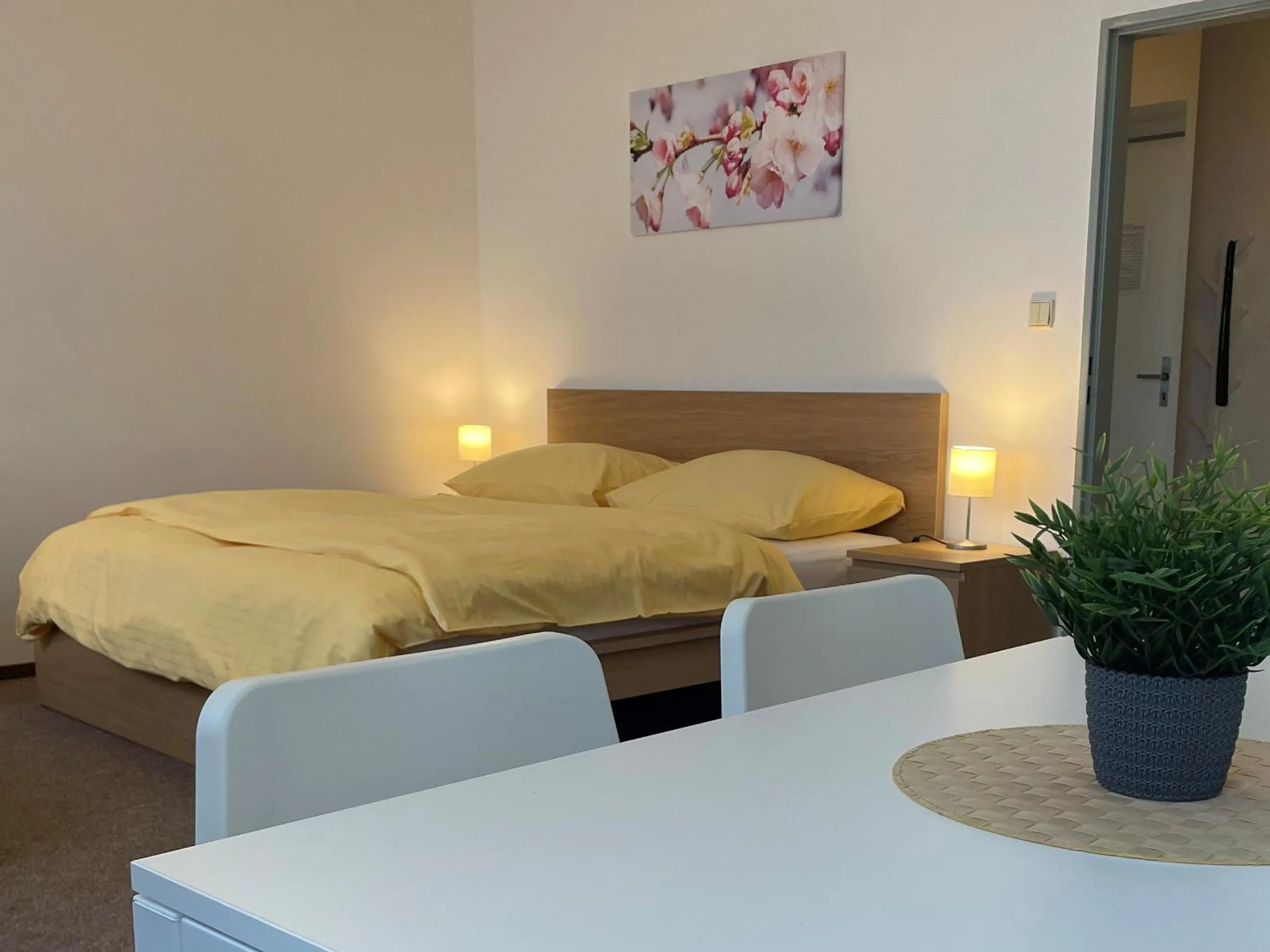 Studio (3 Adults) - single occupancy in Hotel Koruna