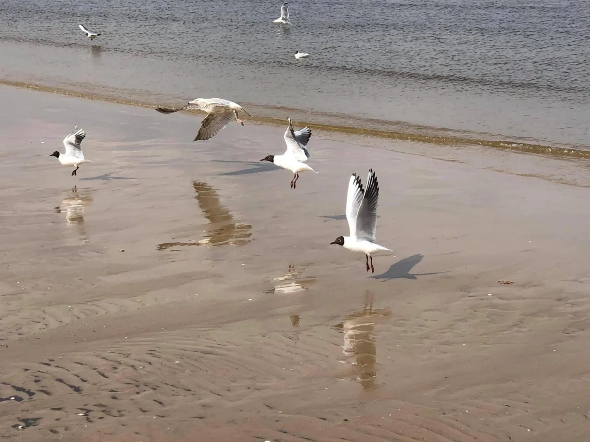 Day in Lazur Apartamenty