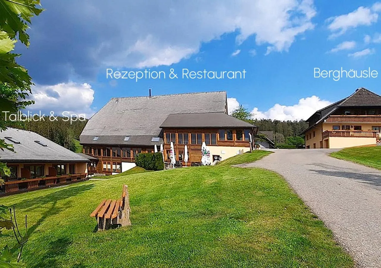 Property building in ThälerHäusle