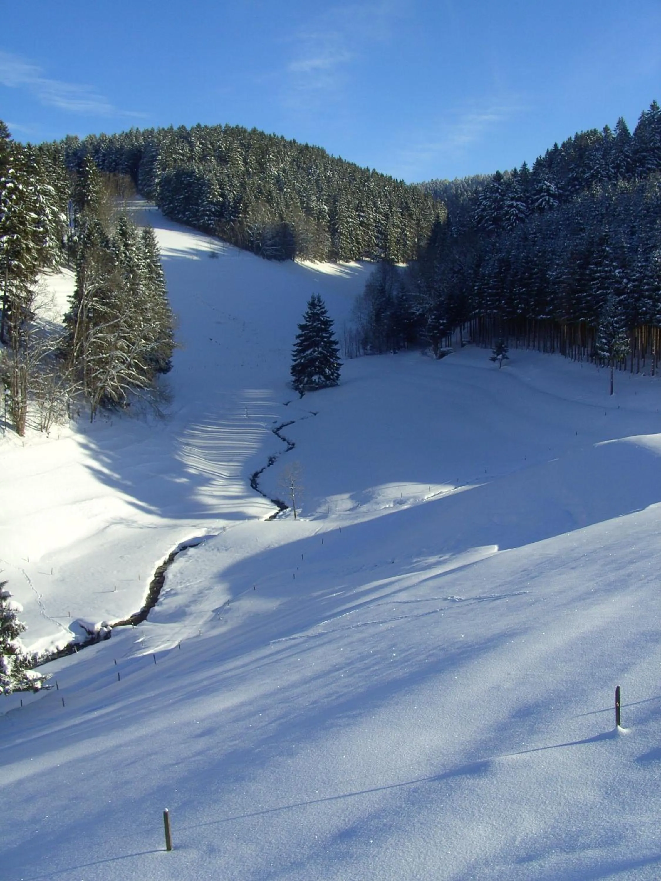 Area and facilities in ThälerHäusle