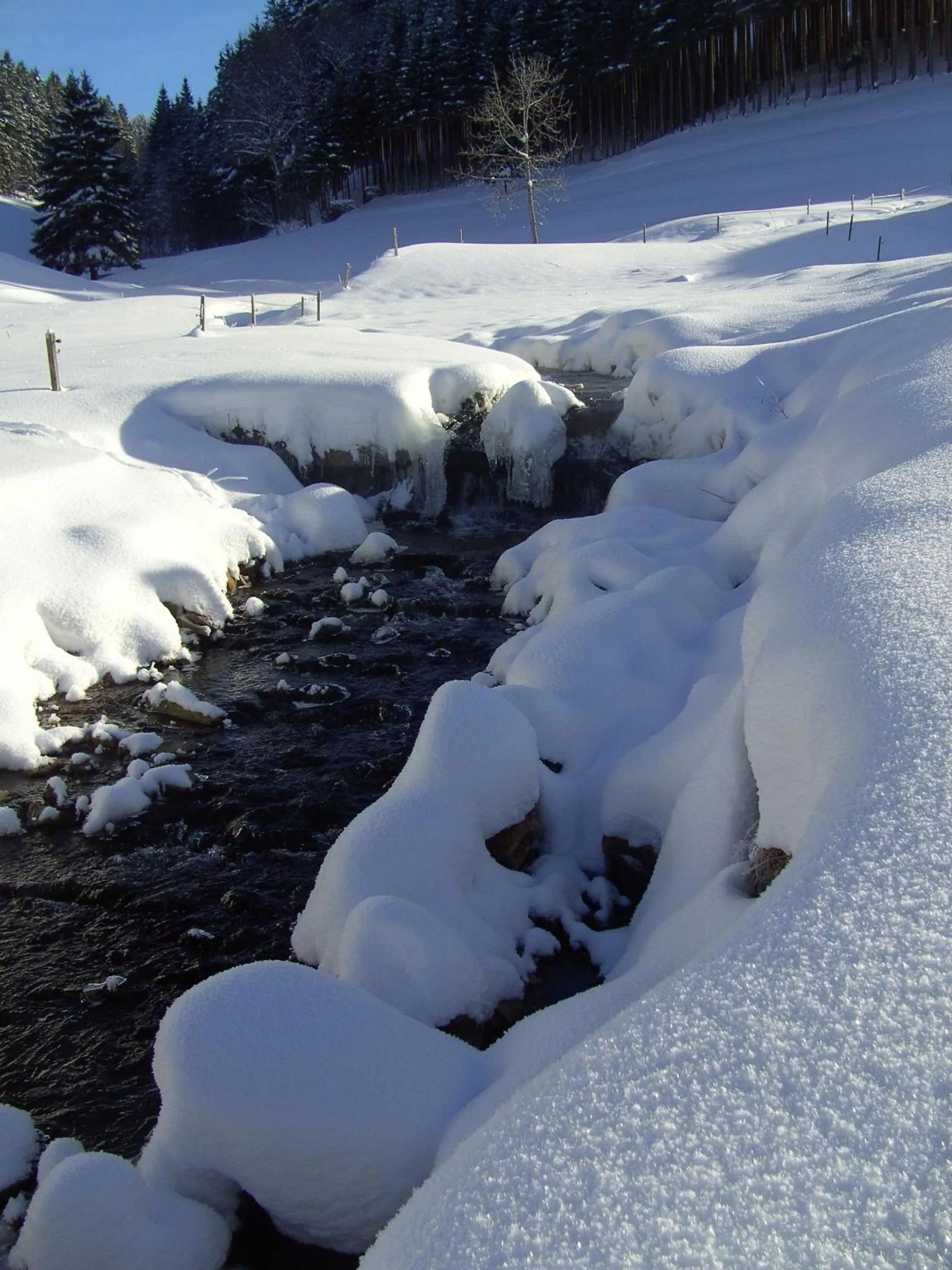 Area and facilities in ThälerHäusle