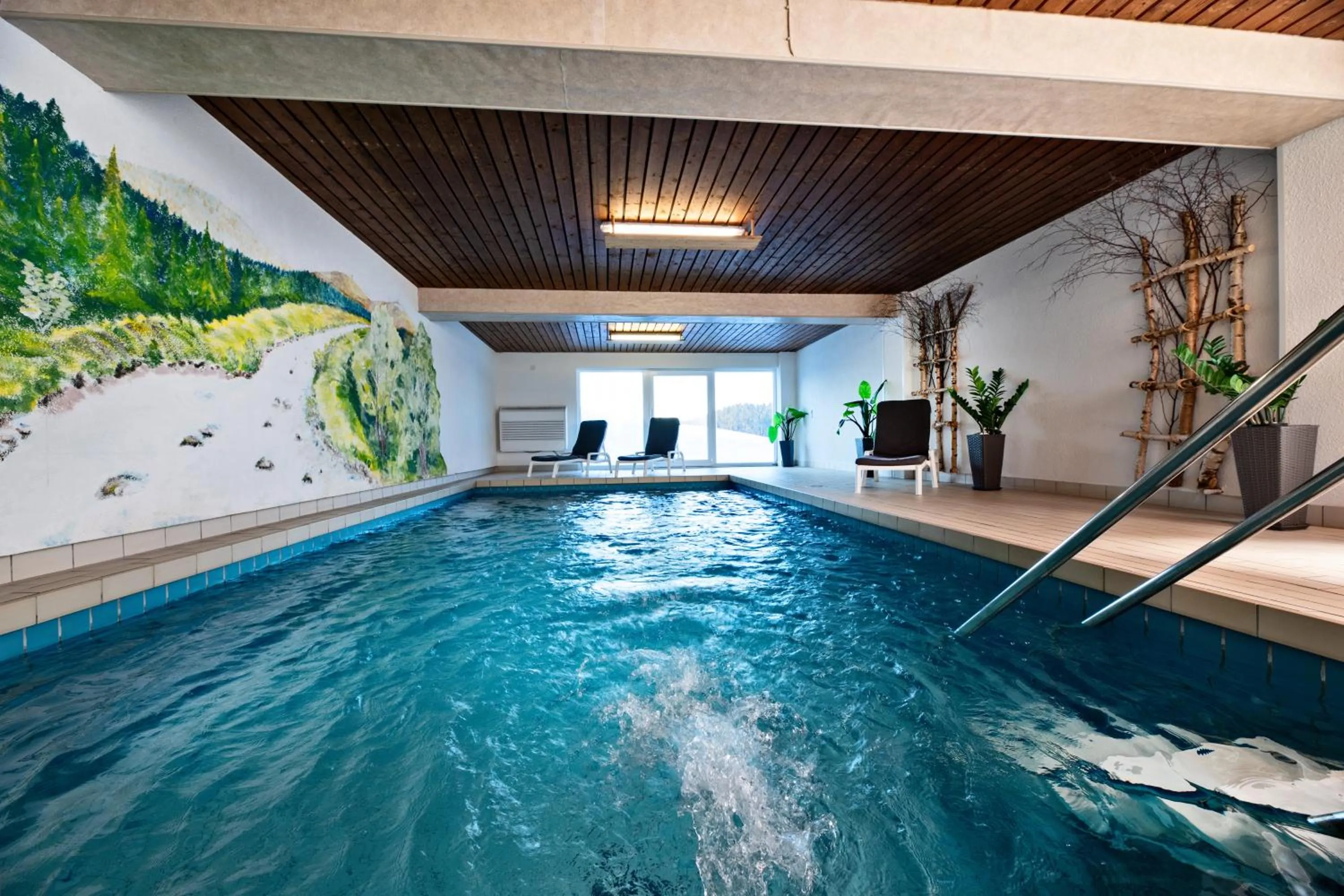 Swimming pool in ThälerHäusle