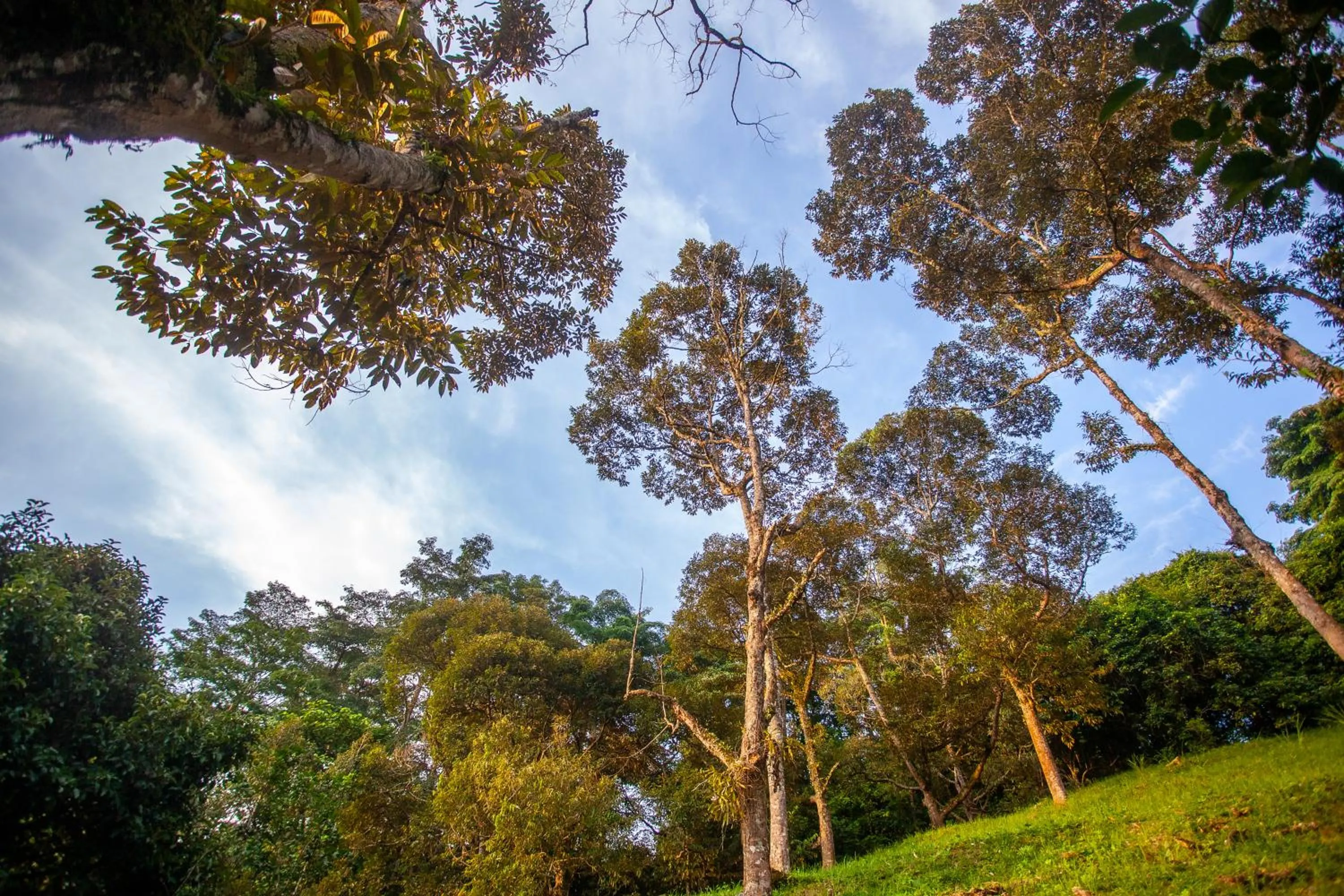 Natural landscape in The Dusun