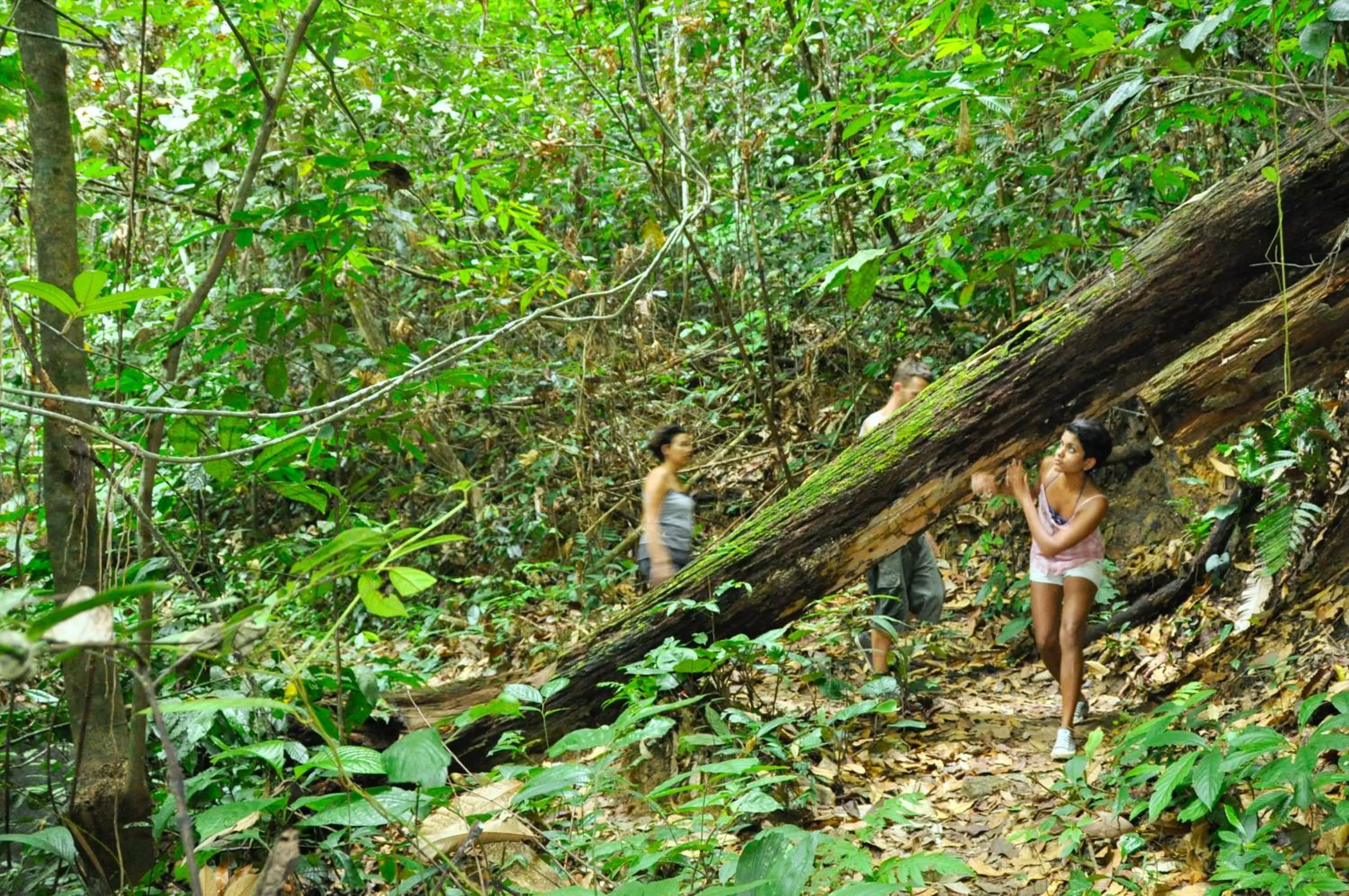 Natural landscape in The Dusun