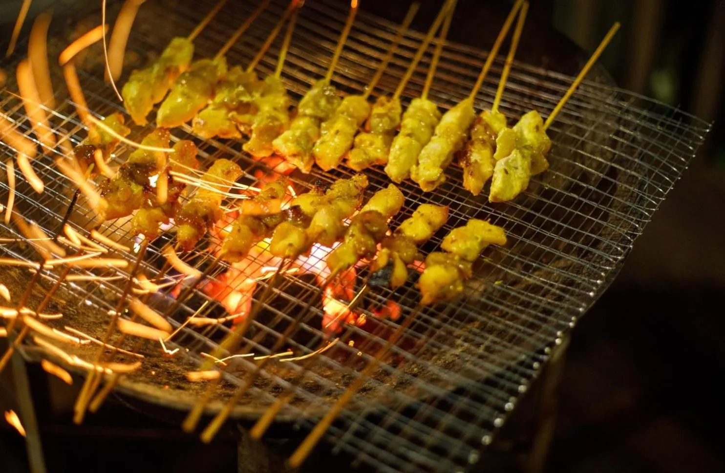 BBQ facilities in The Dusun