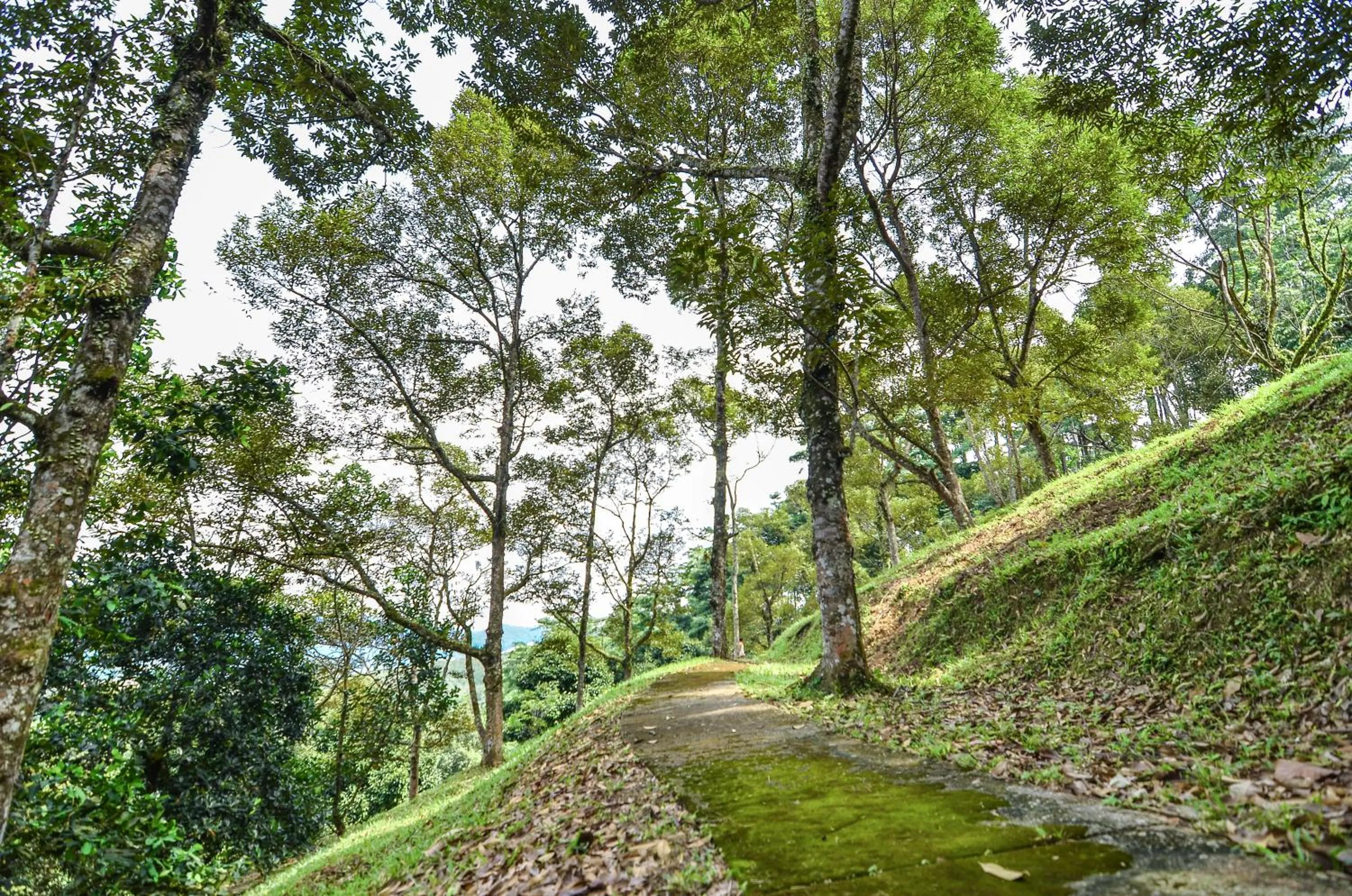 Natural landscape in The Dusun