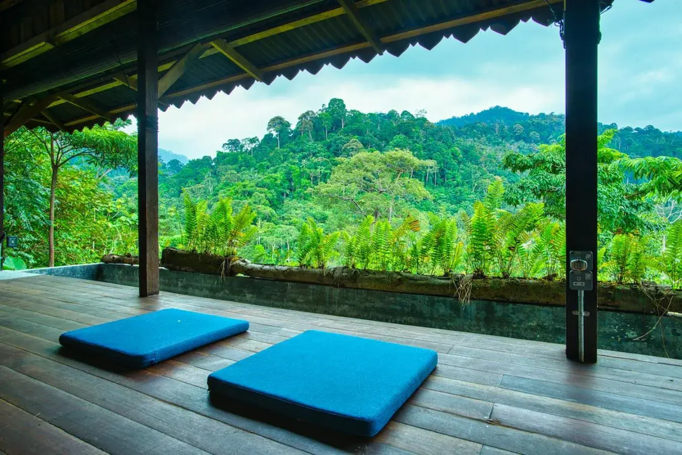 View (from property/room) in The Dusun View (from property/room) in The Dusun