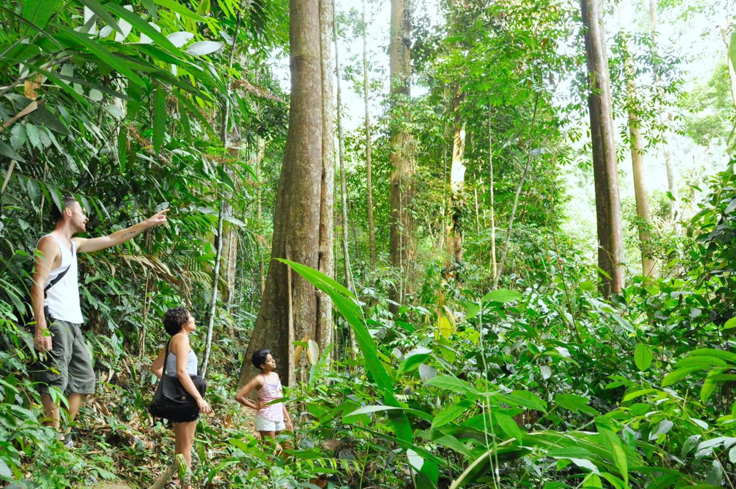 Natural landscape in The Dusun