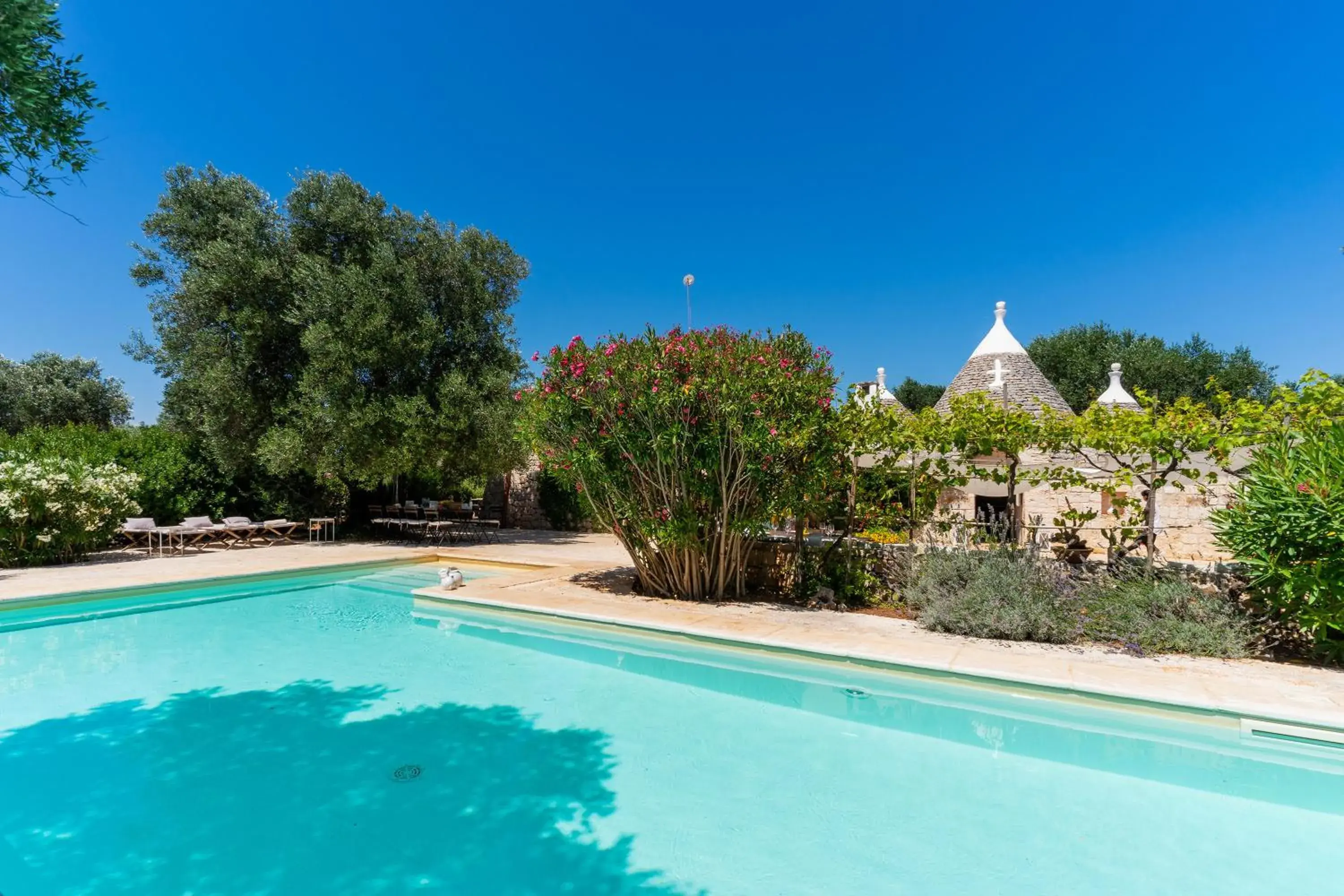 Trullo dell'Oleandro - Le Corti del Silenzio Trullo dell'Oleandro - Le Corti del Silenzio