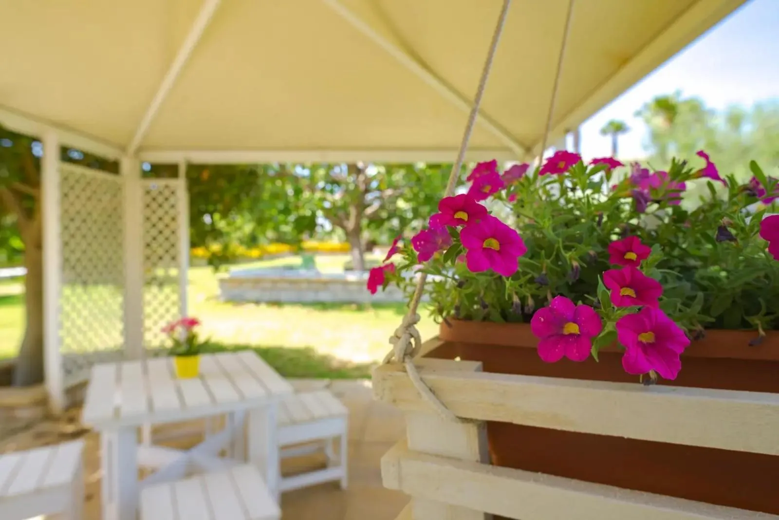 Patio in Hotel Jonio