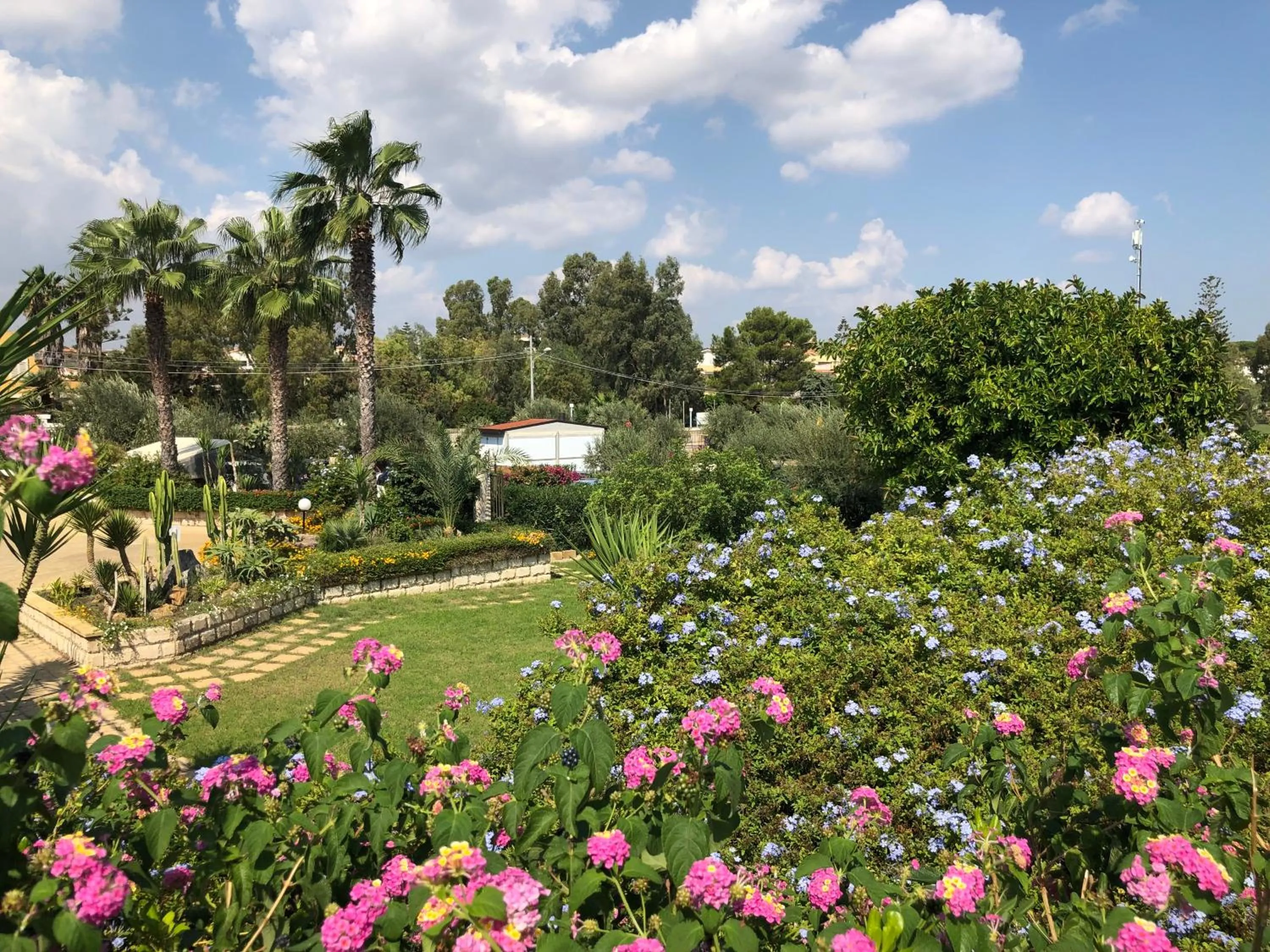 Spring in Hotel Jonio