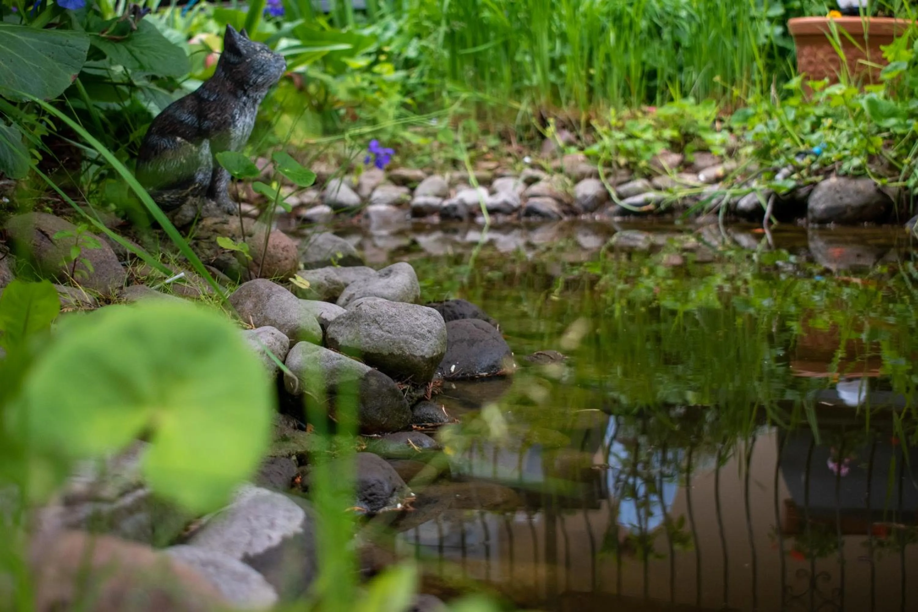Natural landscape in Mister