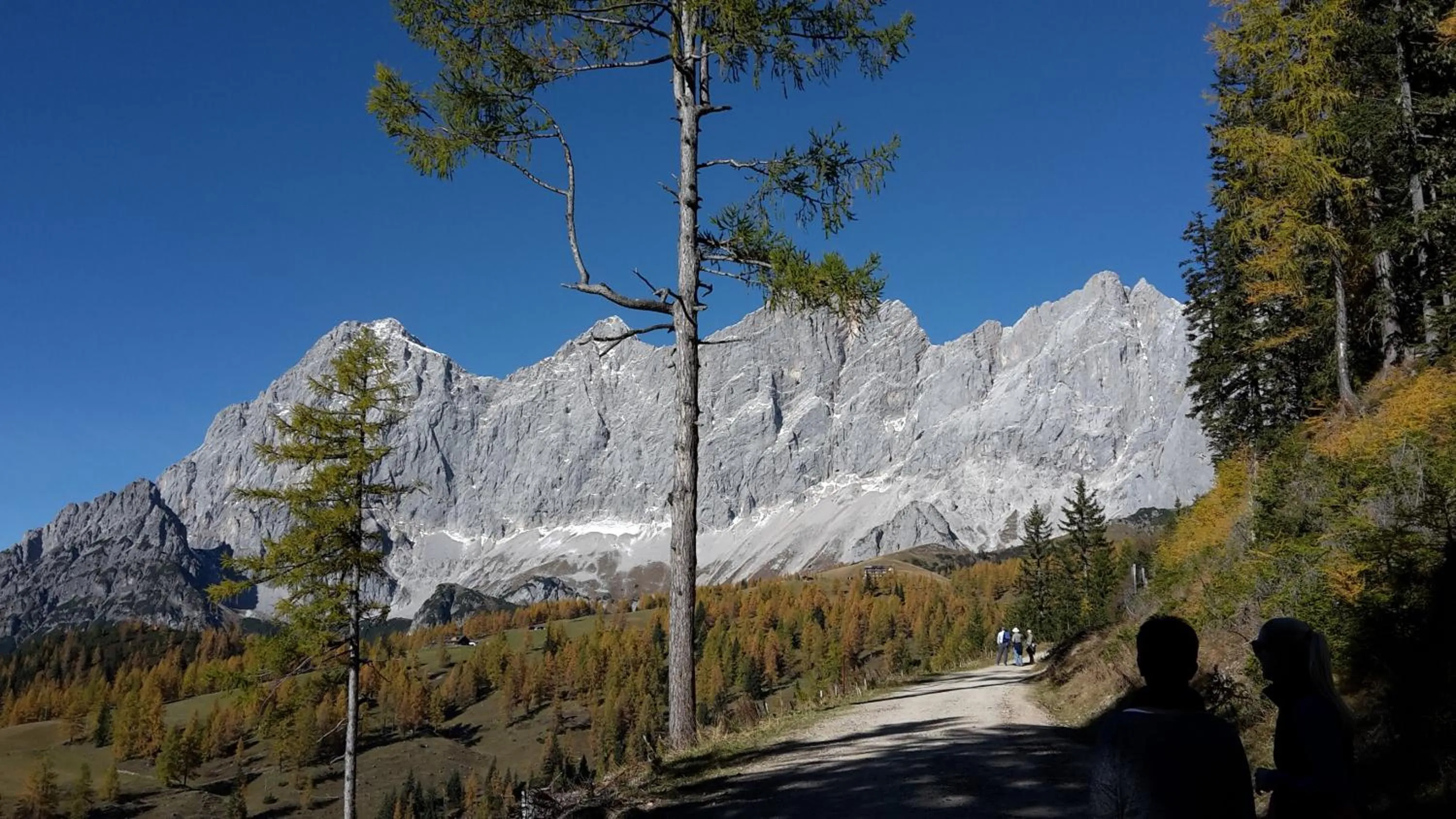 Natural landscape in Ferienhaus Abendstille