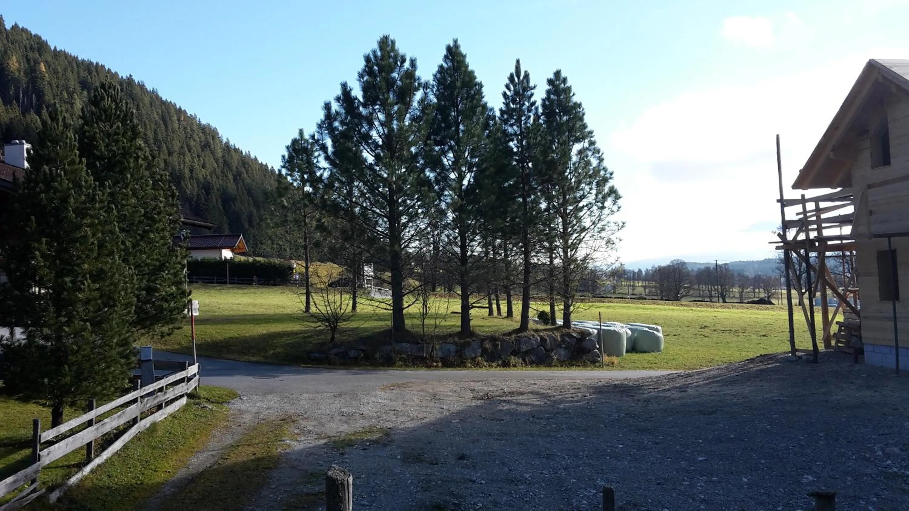 View (from property/room) in Ferienhaus Abendstille