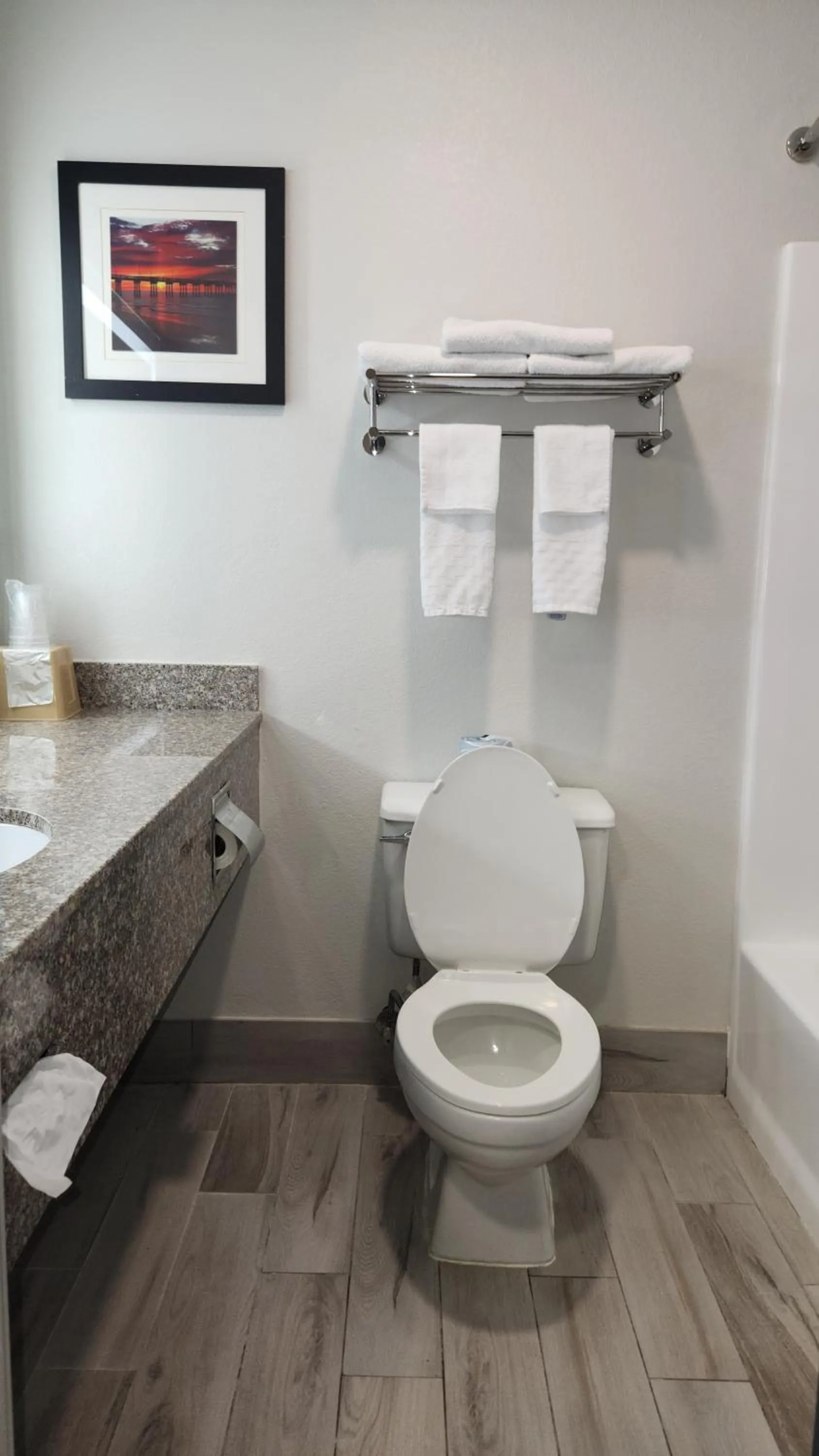 Toilet in Americas Best Value Inn & Suites-Foley