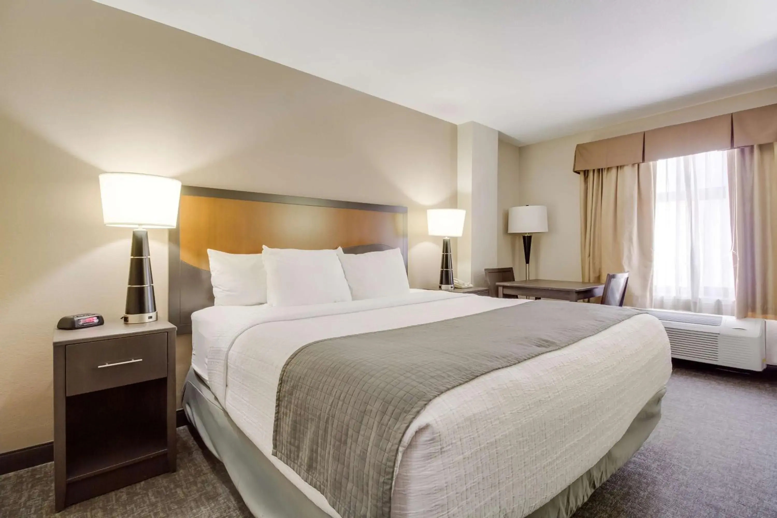 King Room - Disability Access in SureStay Plus Hotel by Best Western Houston Medical Center King Room - Disability Access in SureStay Plus Hotel by Best Western Houston Medical Center