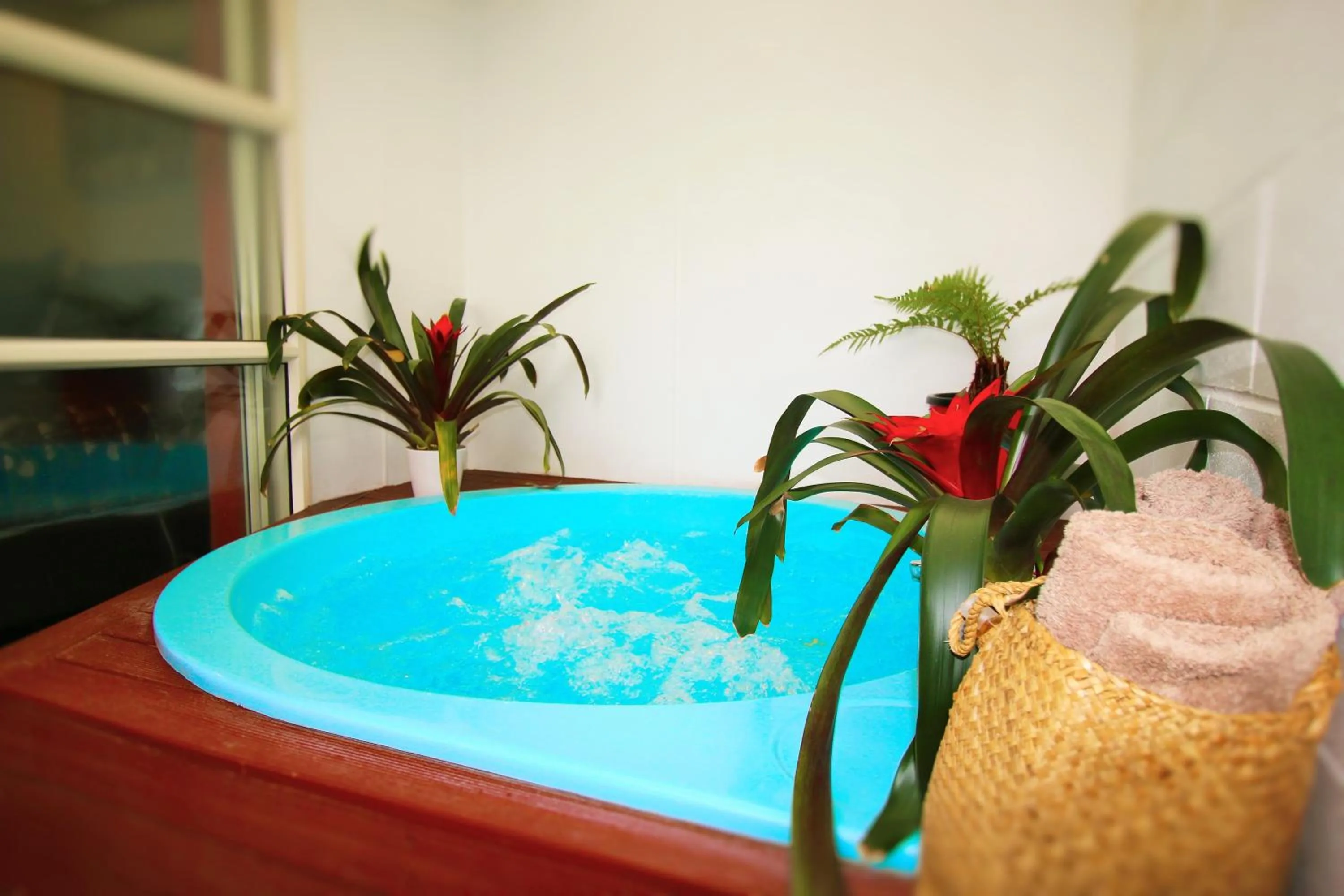 Activities in Capri on Fenton