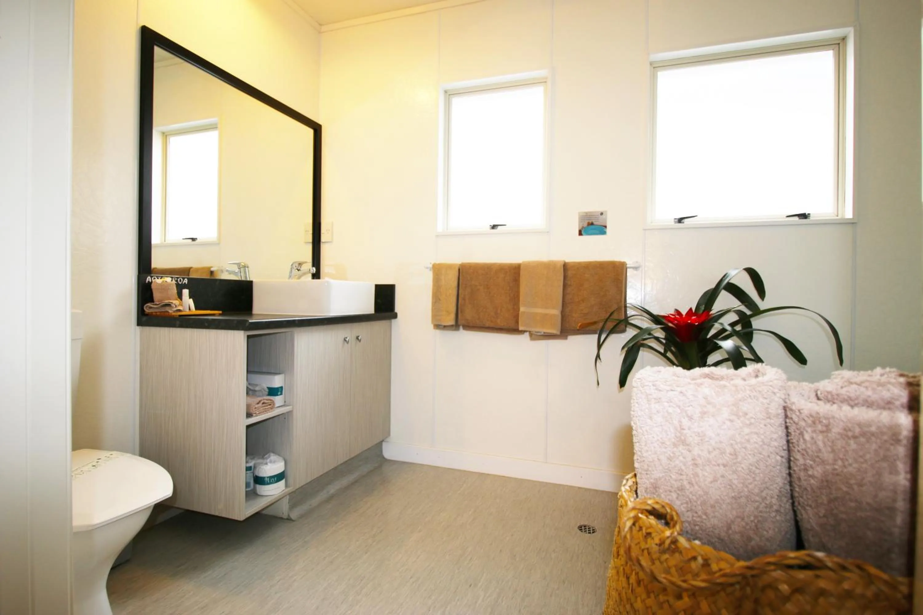 Toilet in Capri on Fenton