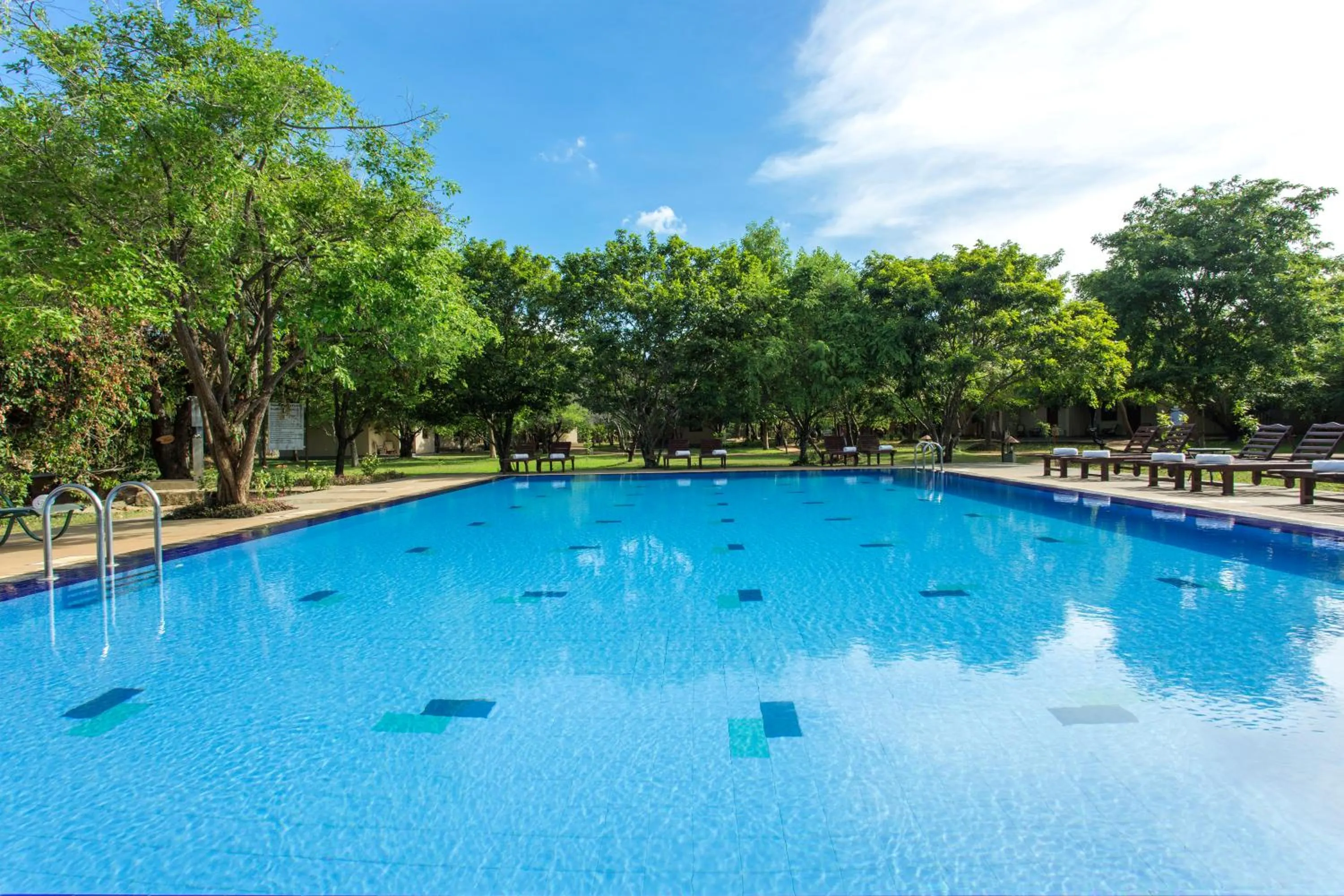 Day in Kassapa Lions Rock