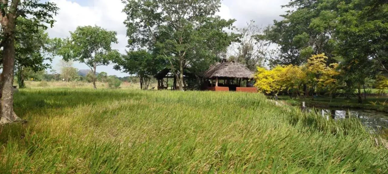 Property building in Kassapa Lions Rock Property building in Kassapa Lions Rock