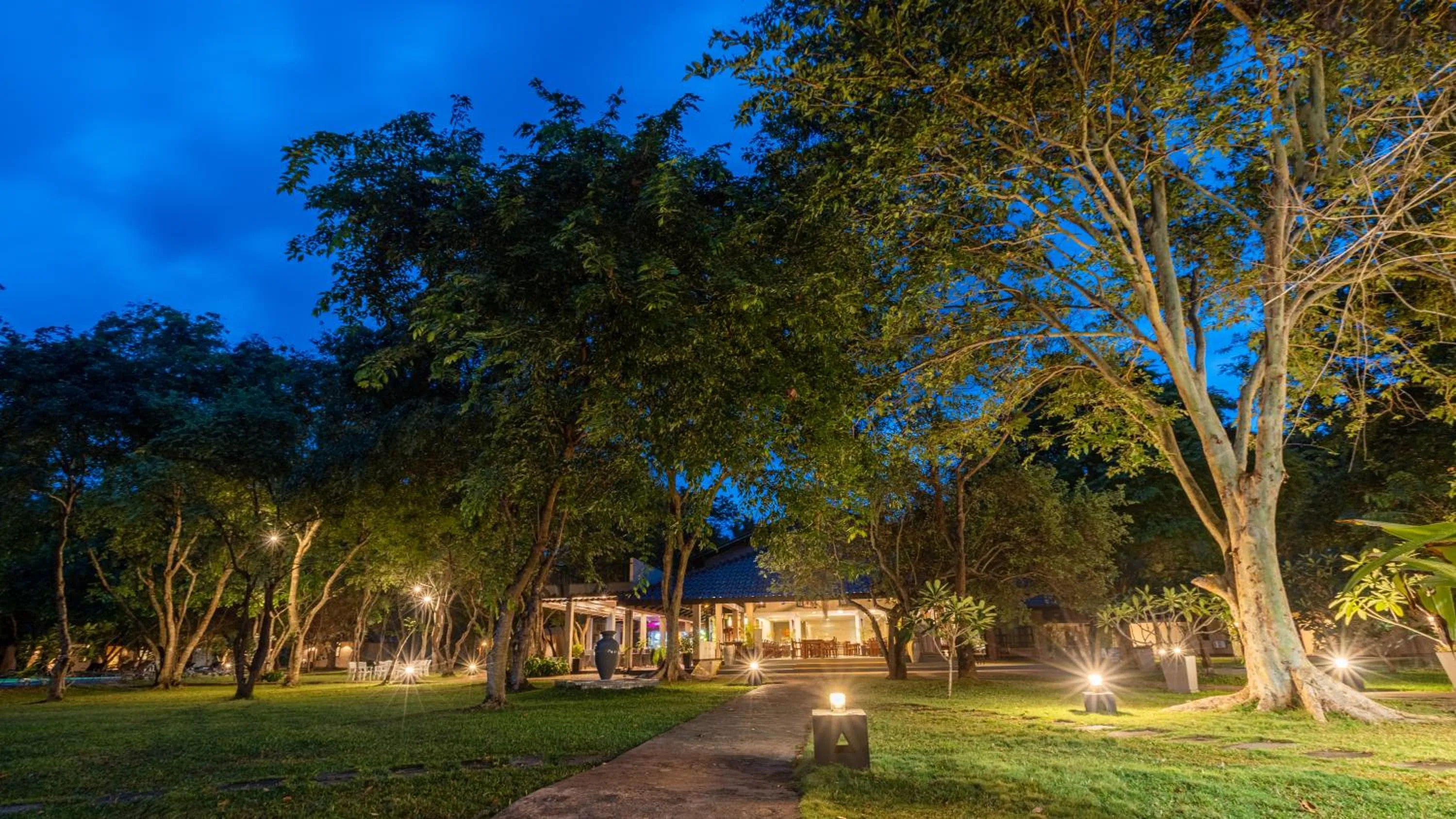 Night in Kassapa Lions Rock