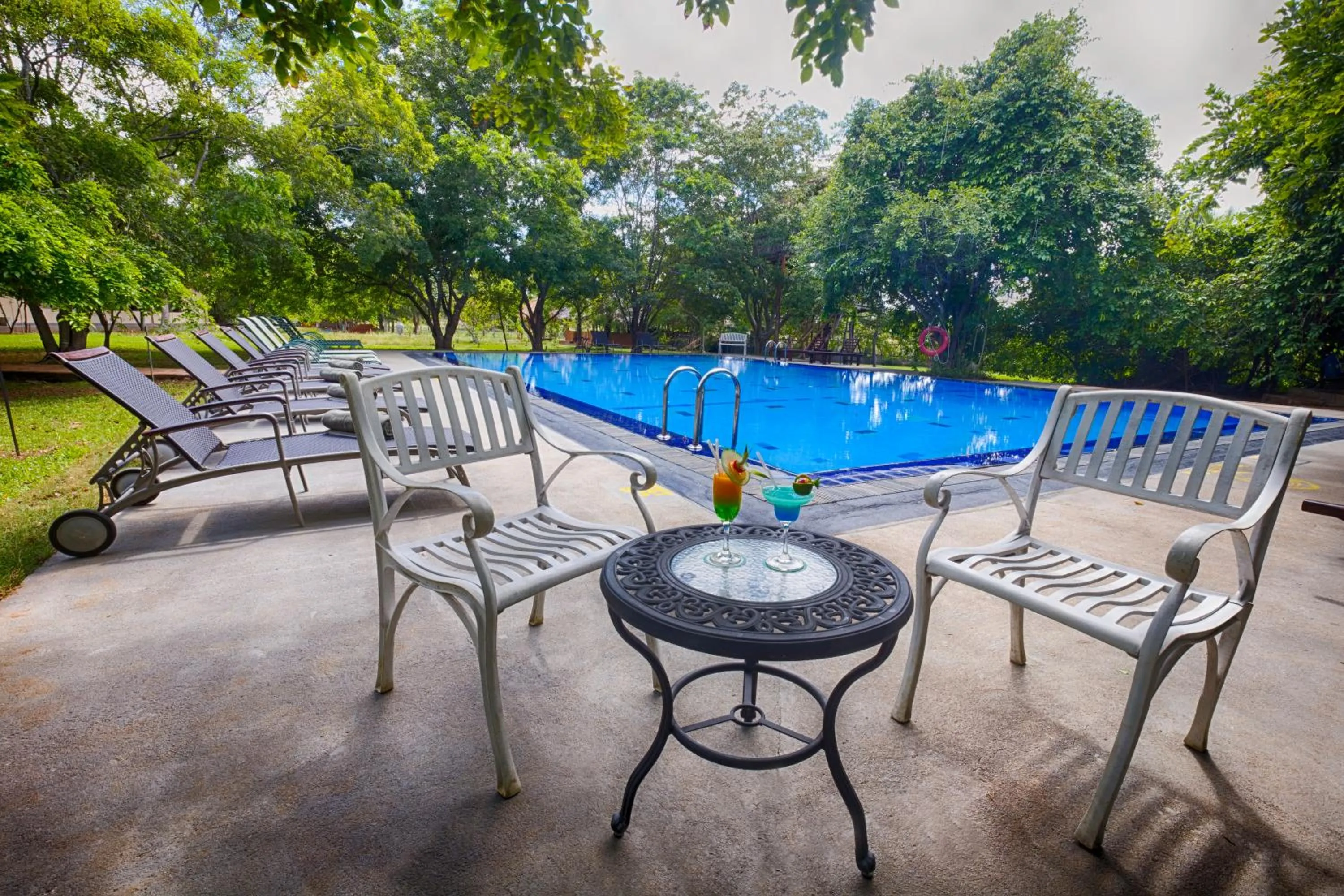 Garden in Kassapa Lions Rock