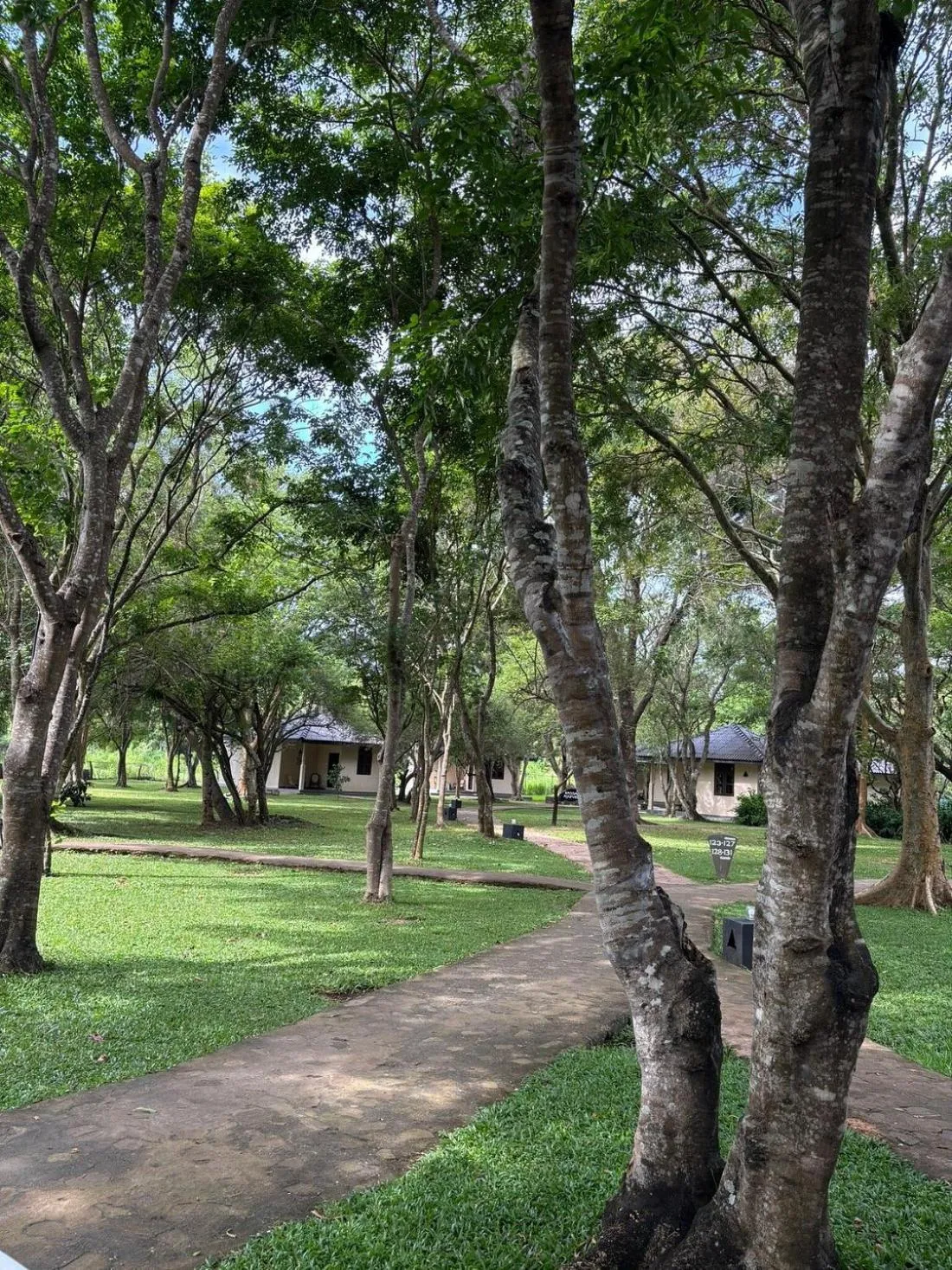 Garden in Kassapa Lions Rock