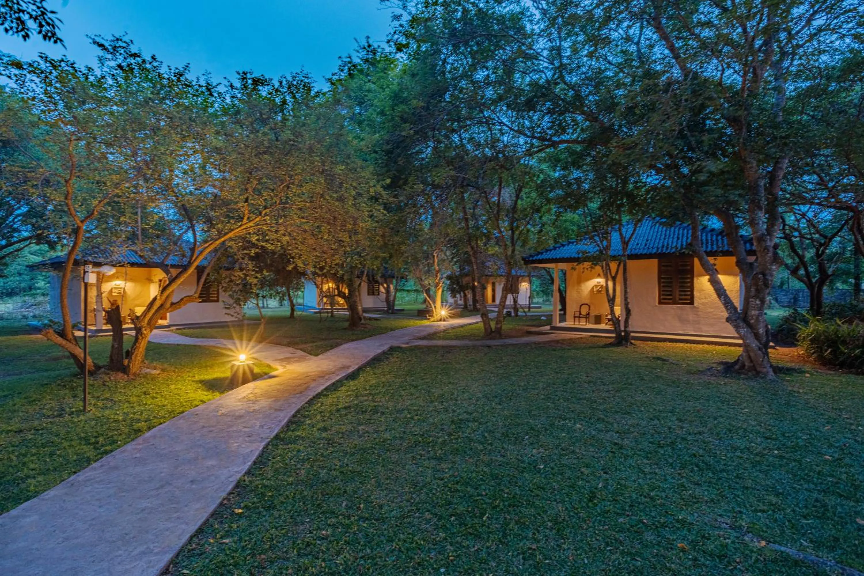 Night in Kassapa Lions Rock