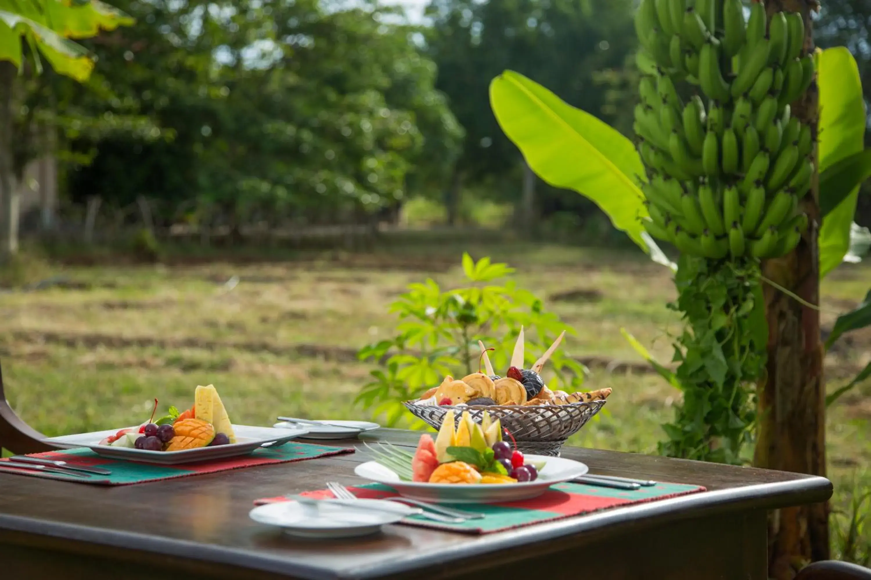 Food and drinks in Kassapa Lions Rock Food and drinks in Kassapa Lions Rock