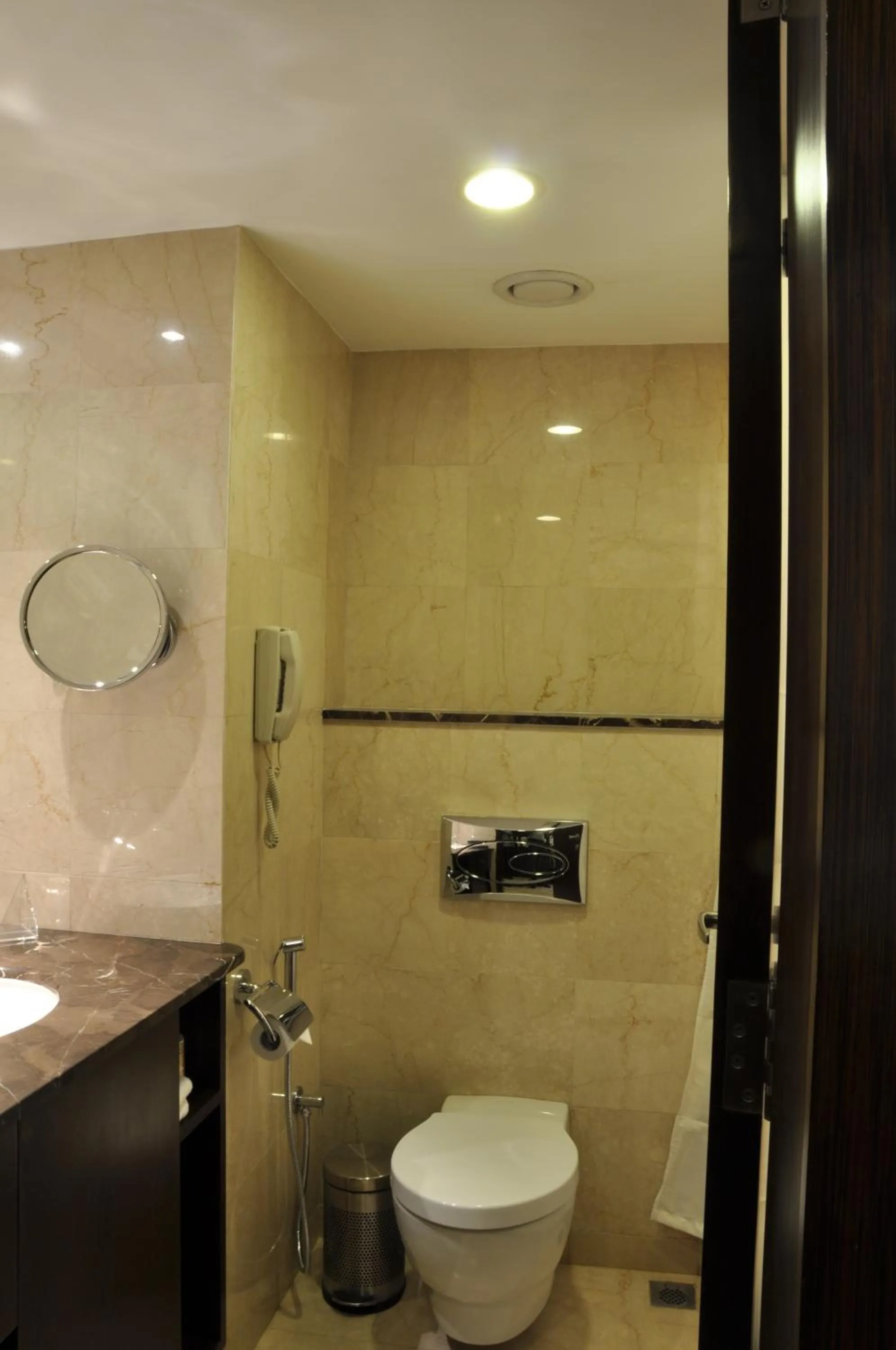 Toilet in Adarsh Hamilton