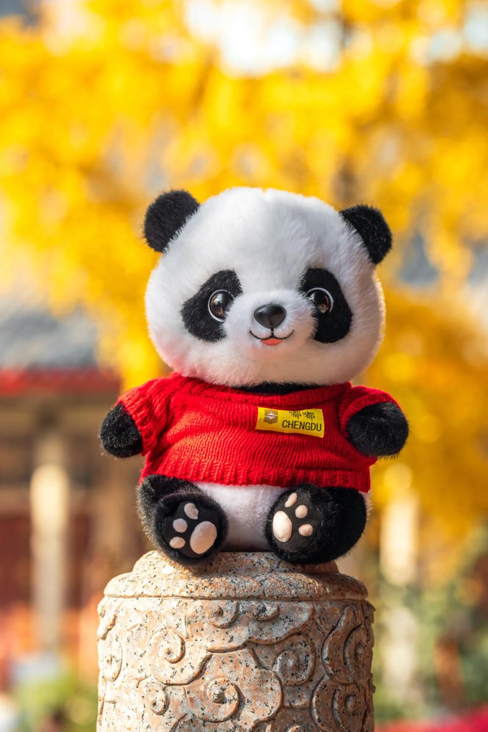 young children in Shangri-La Chengdu