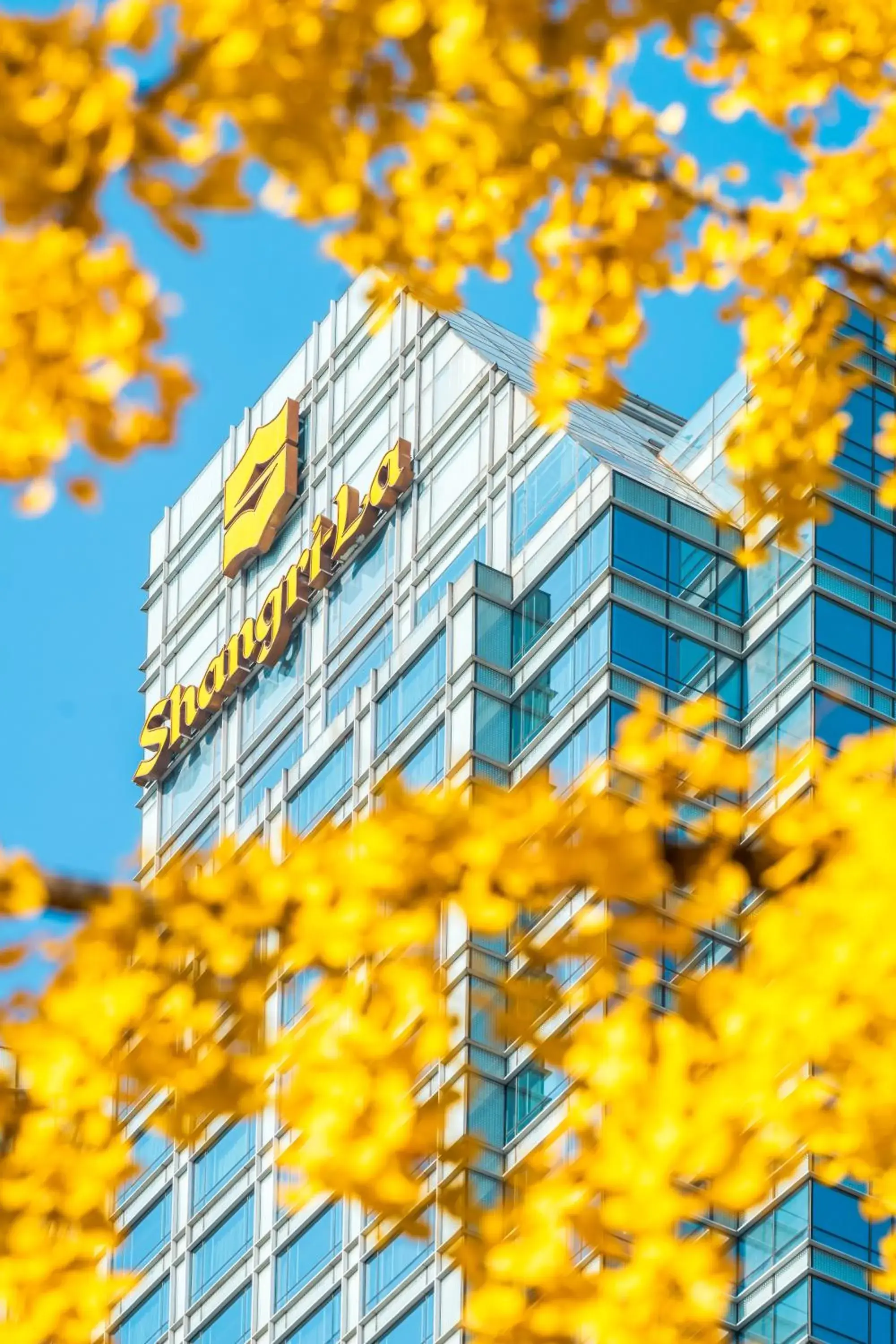 Property building in Shangri-La Chengdu Property building in Shangri-La Chengdu