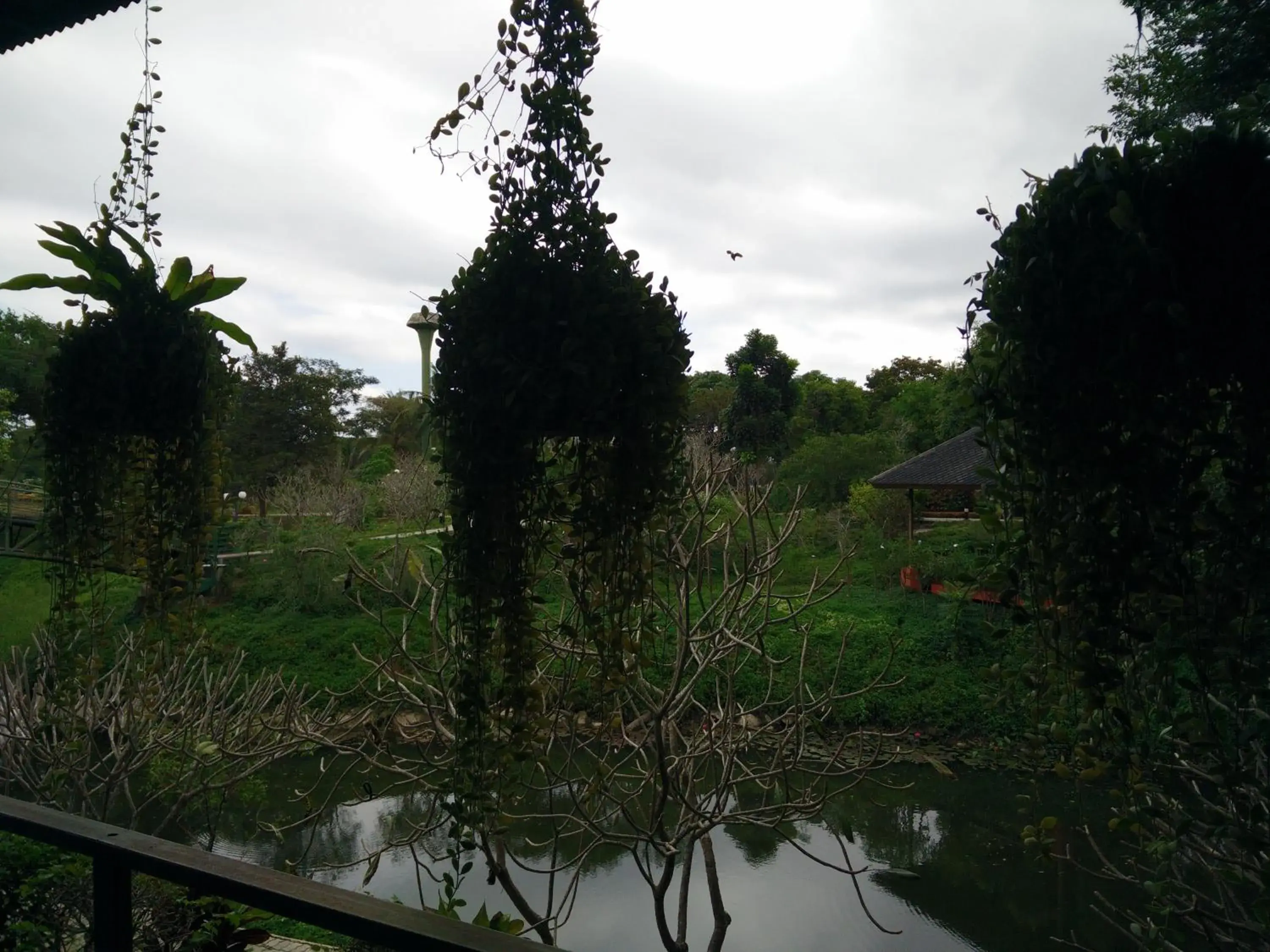 View (from property/room) in Lilawalai Resort View (from property/room) in Lilawalai Resort