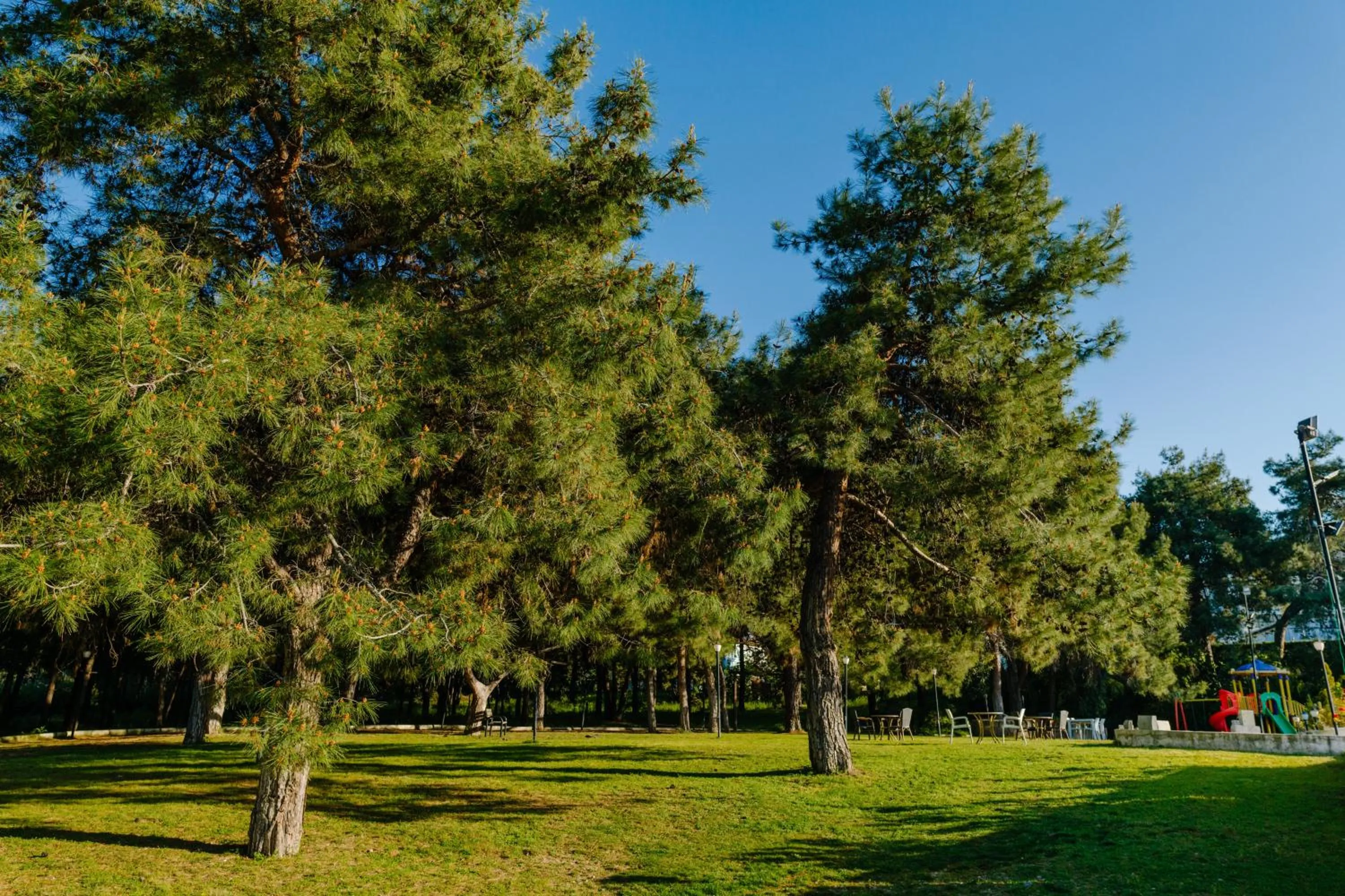UPTOWN Büyük Anadolu Girne Hotel