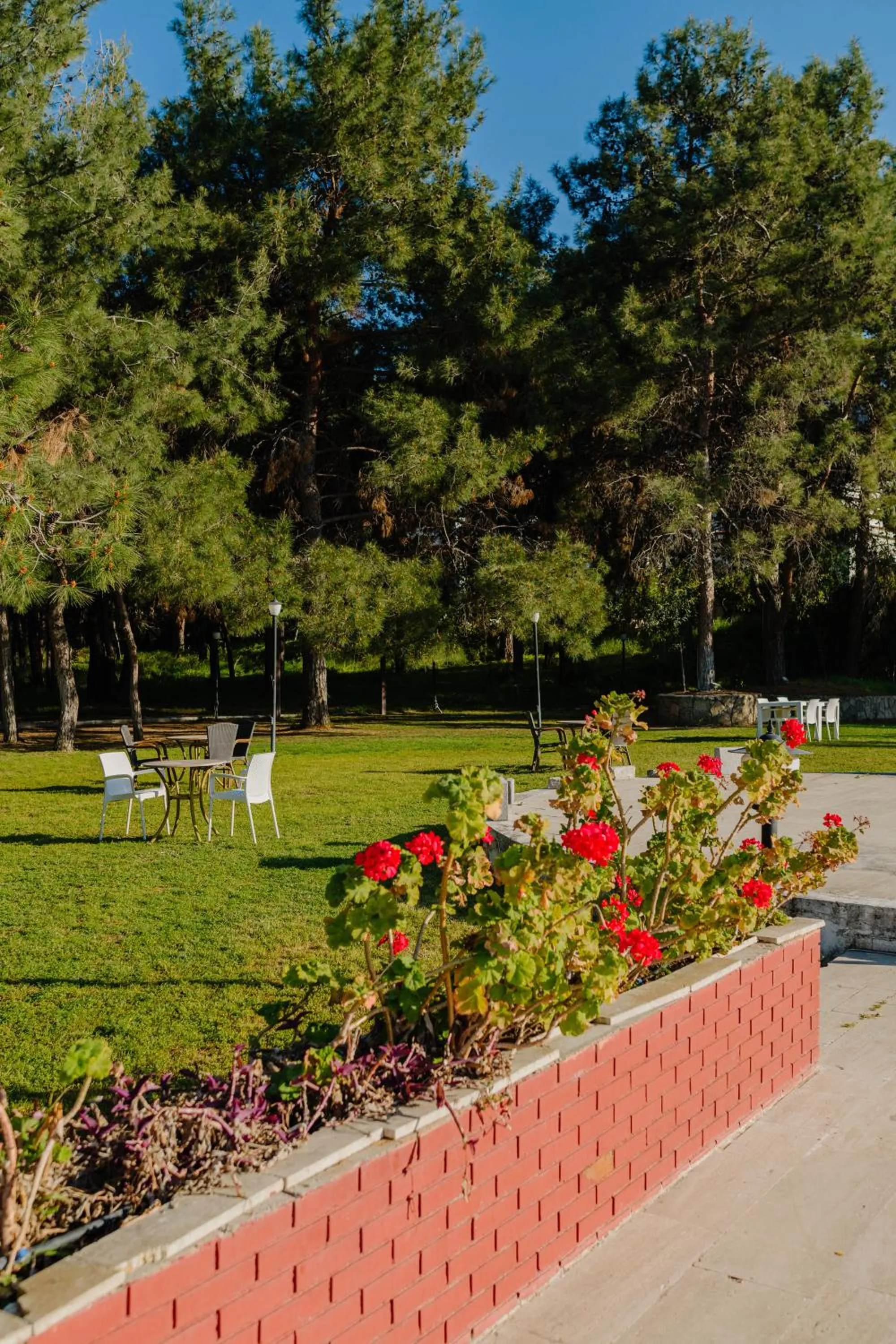 UPTOWN Büyük Anadolu Girne Hotel