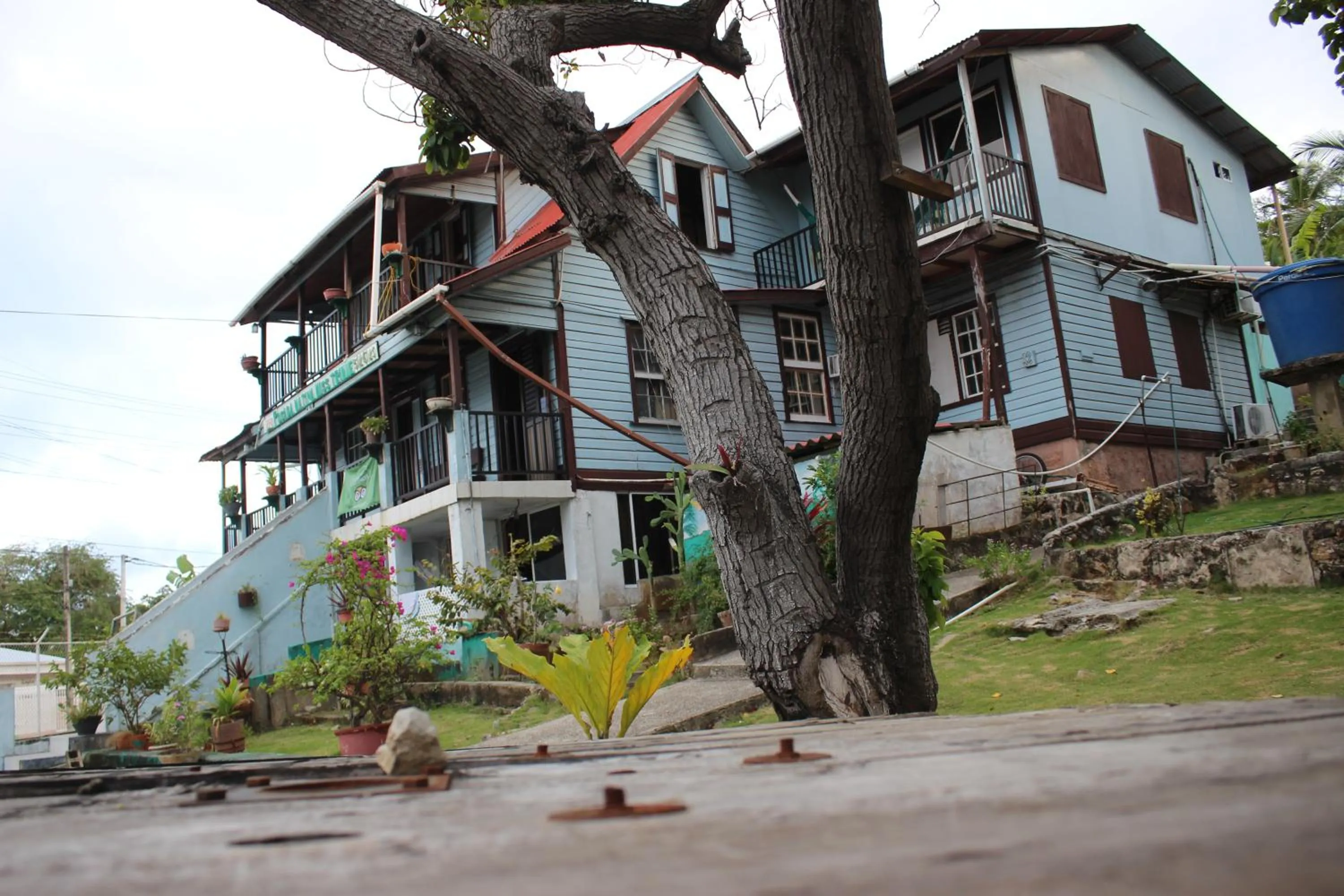 Posada Nativa Miss Trinie