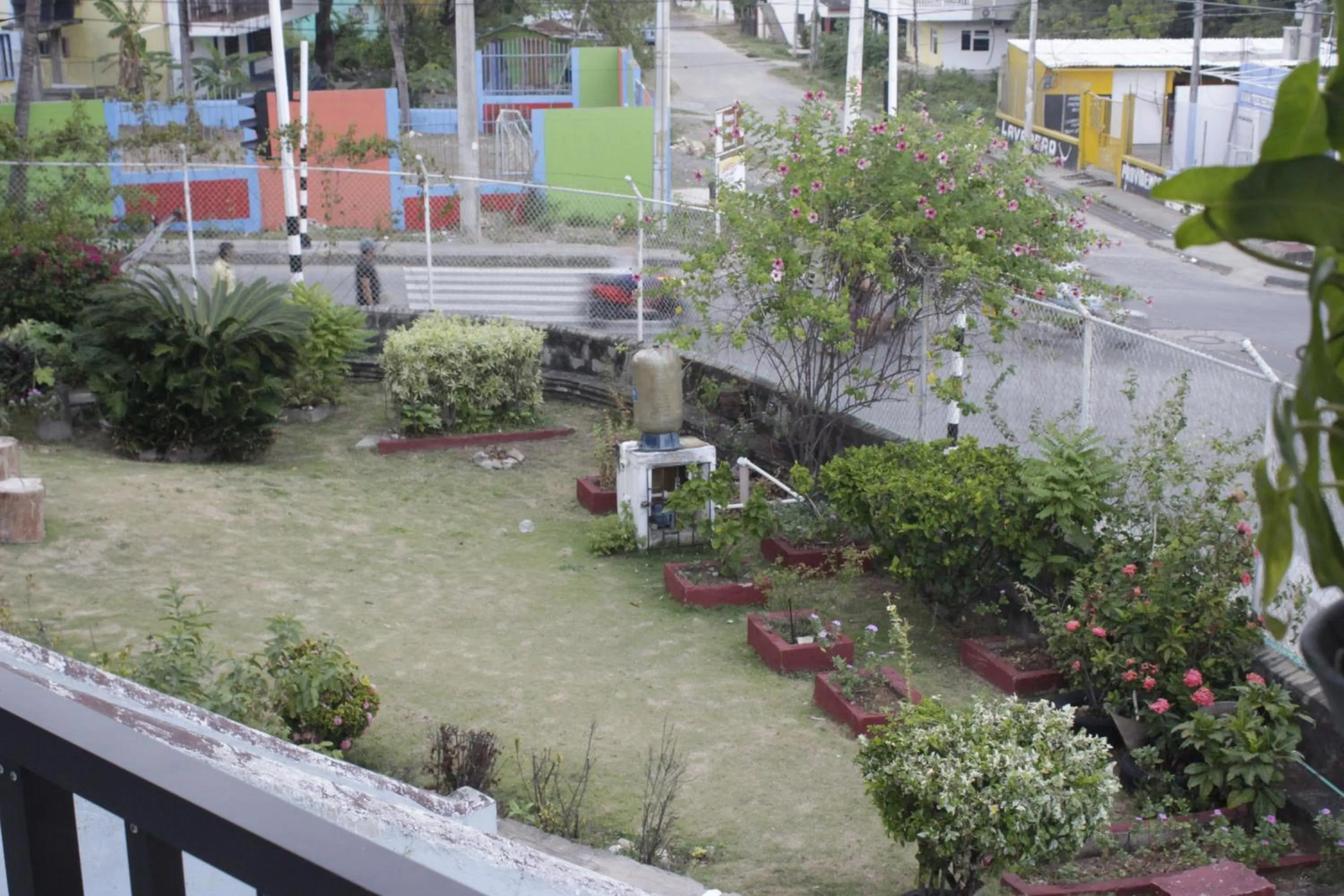 Posada Nativa Miss Trinie