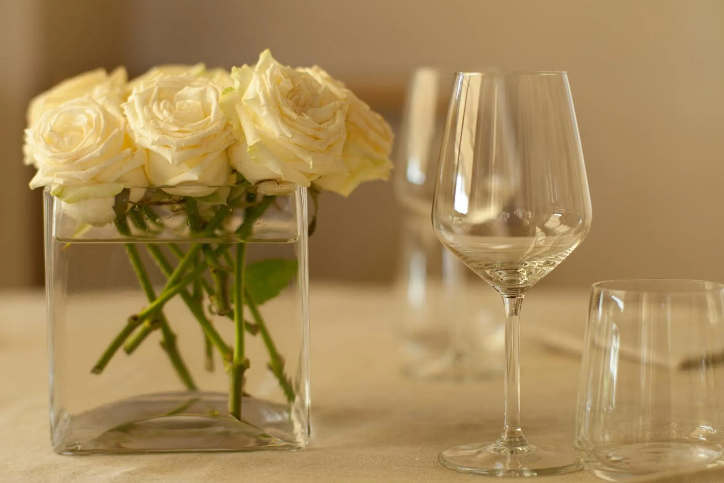 Restaurant/places to eat in Hotel Villa Ca' Sette