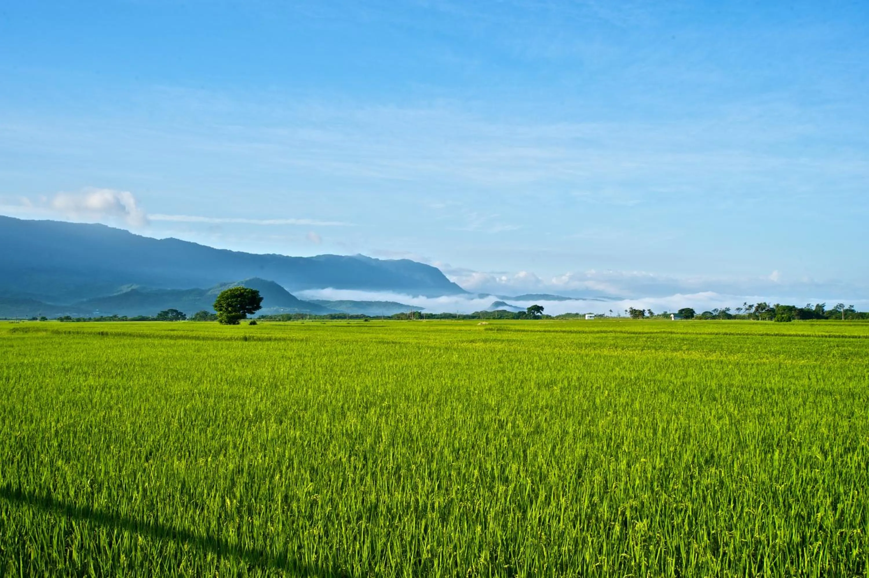 Nearby landmark in Papago International Resort