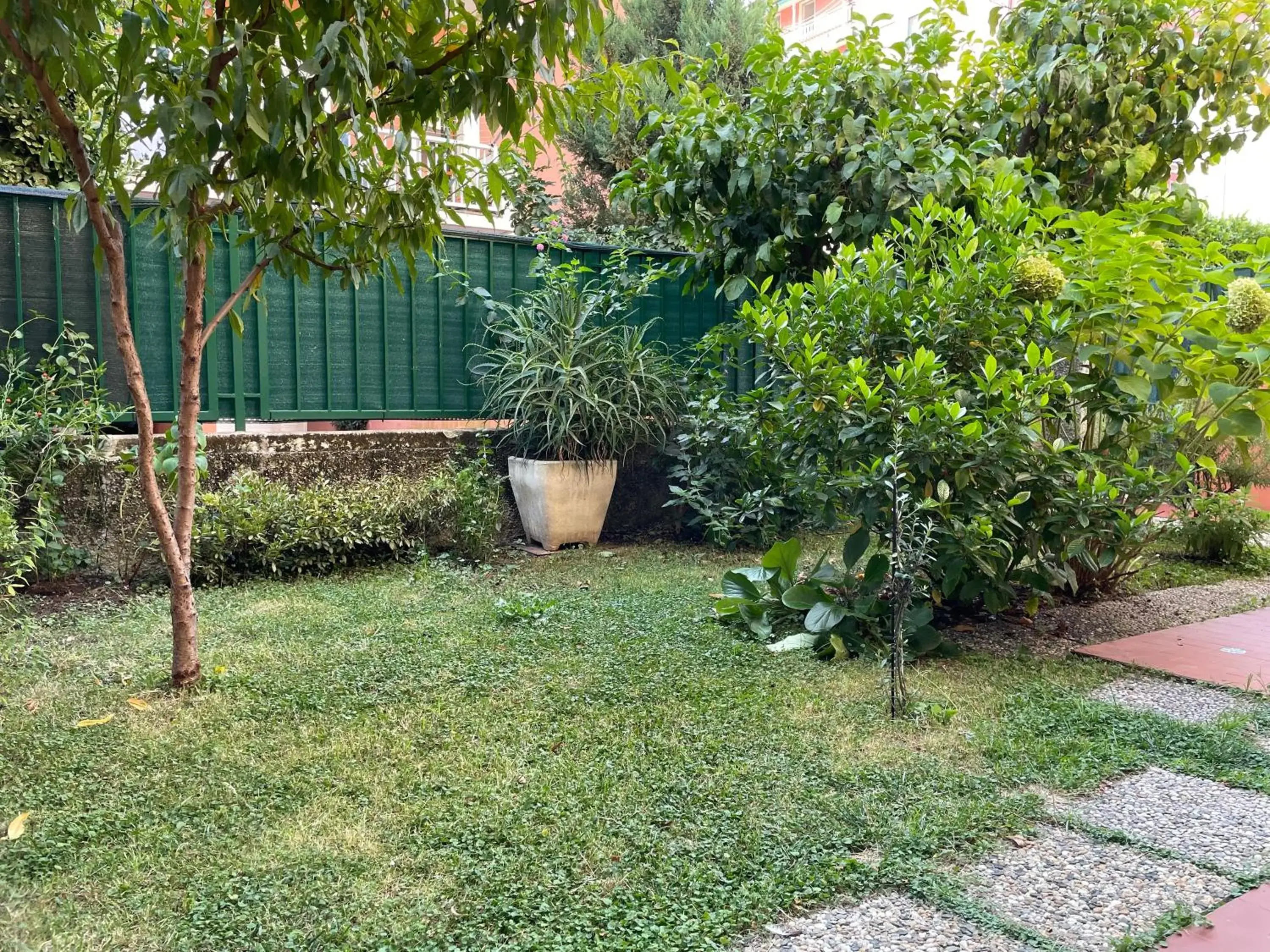 Apartment - single occupancy in Il giardino dei limoni Apartment - single occupancy in Il giardino dei limoni