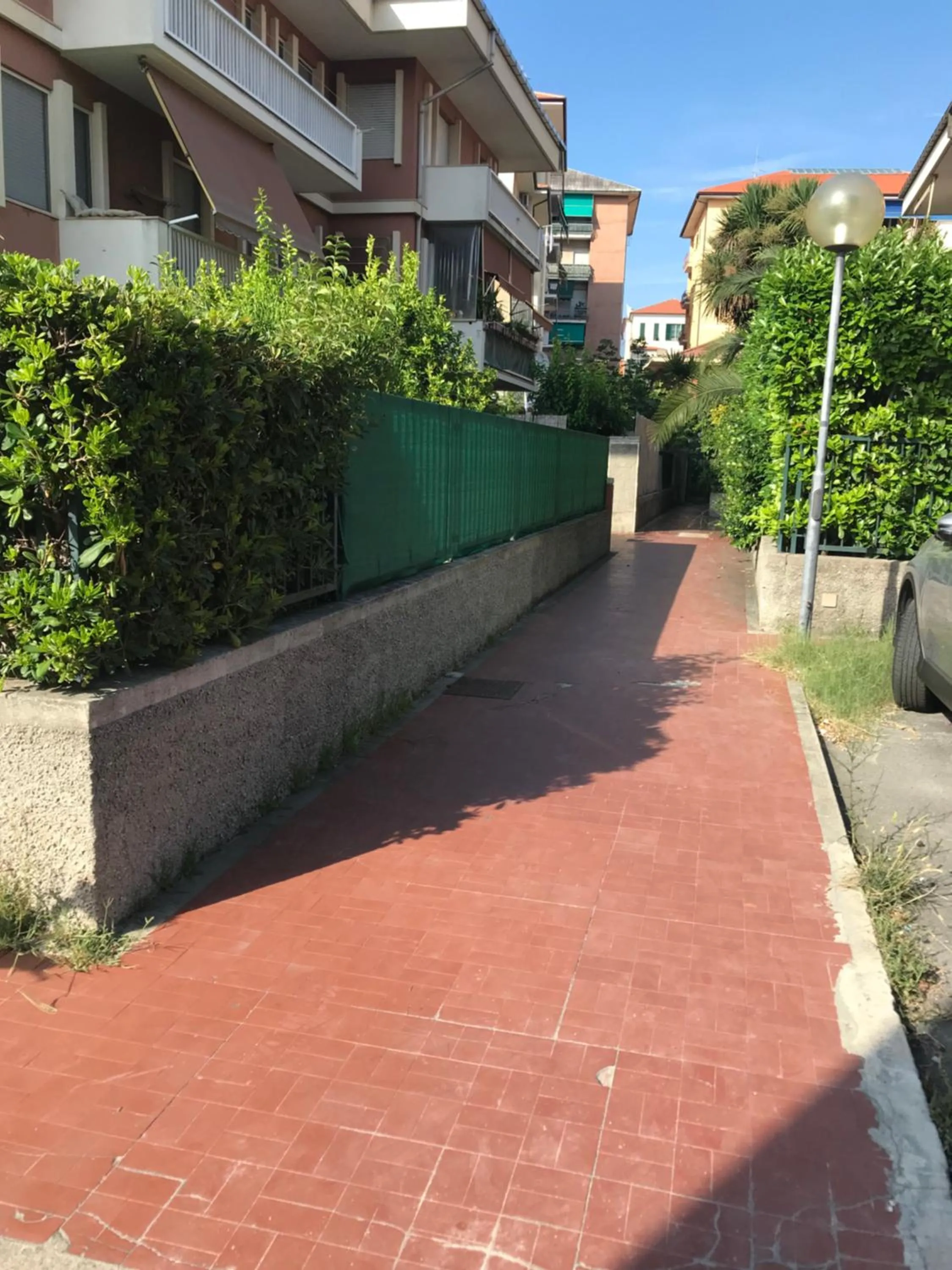 Il giardino dei limoni