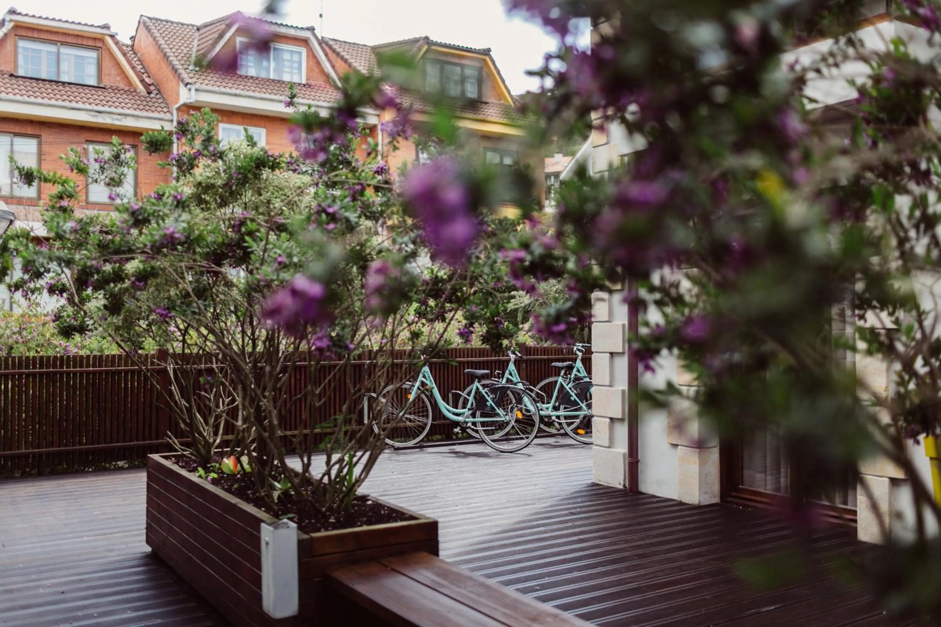 Cycling in Tinas de Pechon