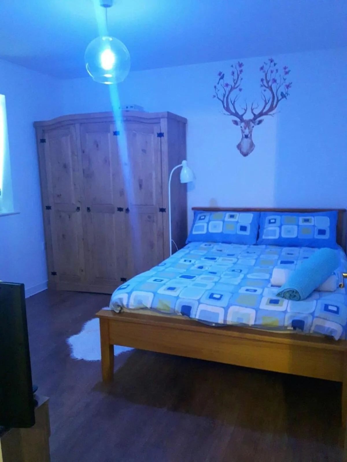 Lavi's house-East Milton Keynes