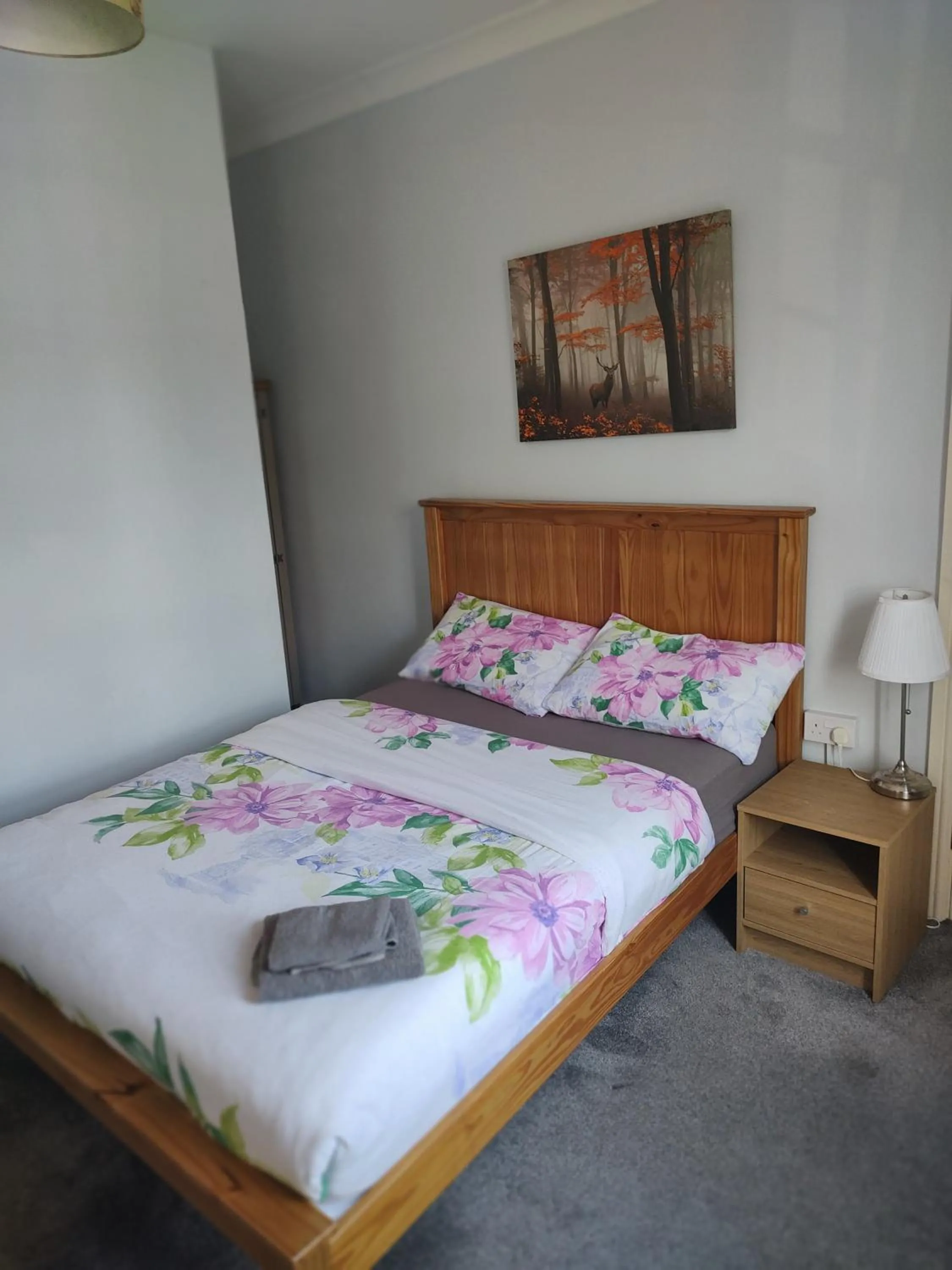Standard Double Room in Reindeer Accomodation