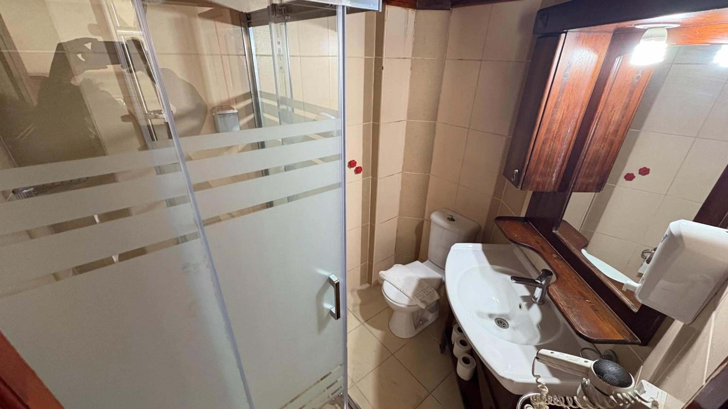 Shower in Akay Hotel