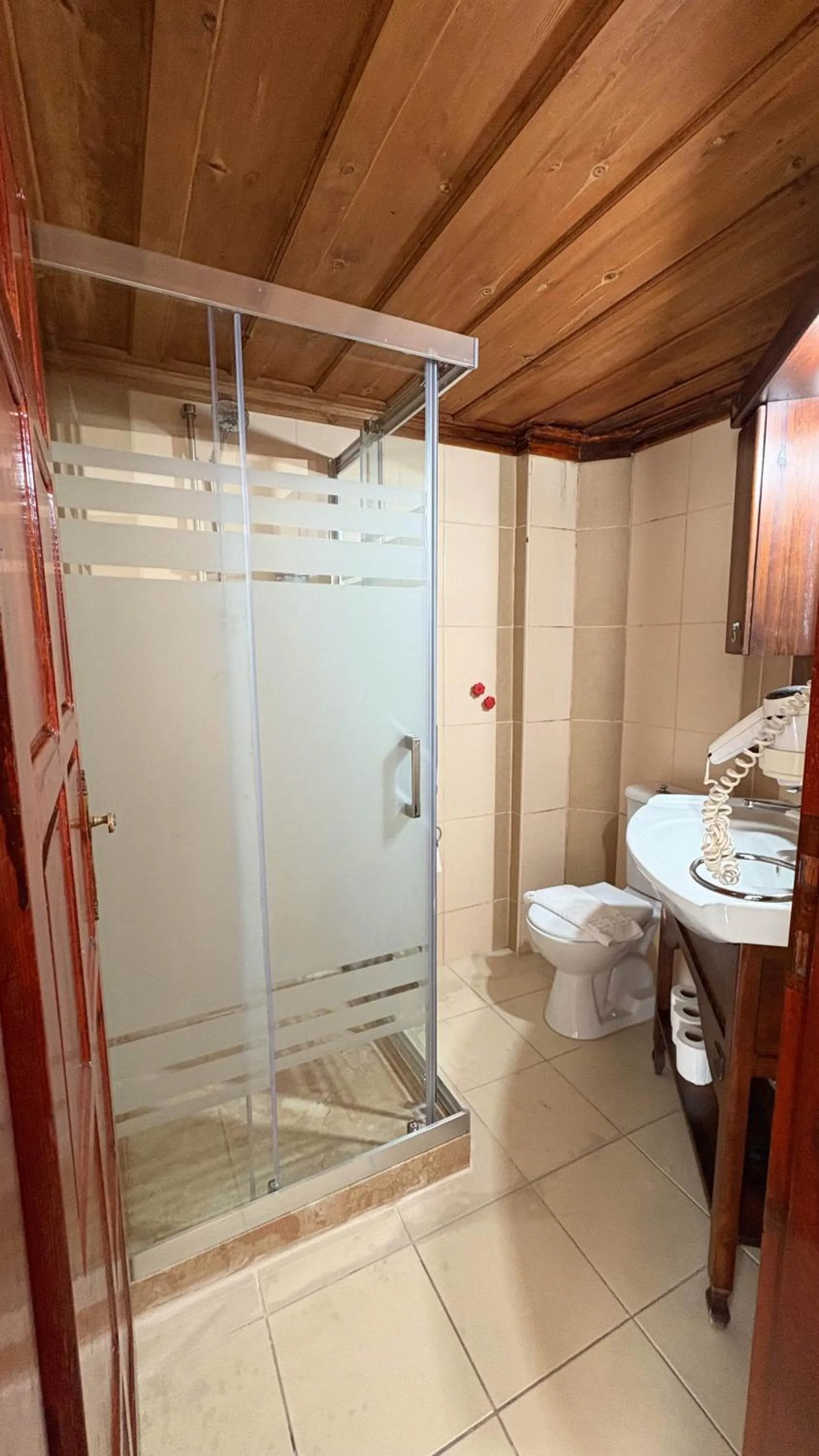 Shower in Akay Hotel