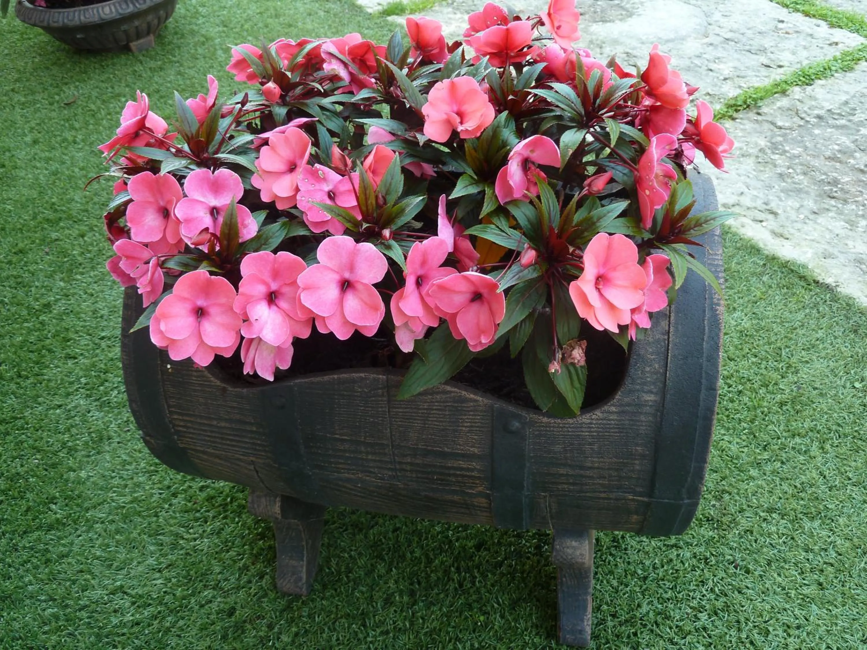 Garden view in Albergo Casa Este